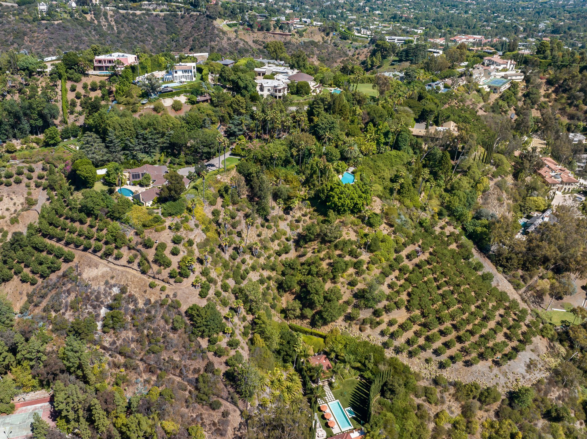 1031 Bel Air Ct
