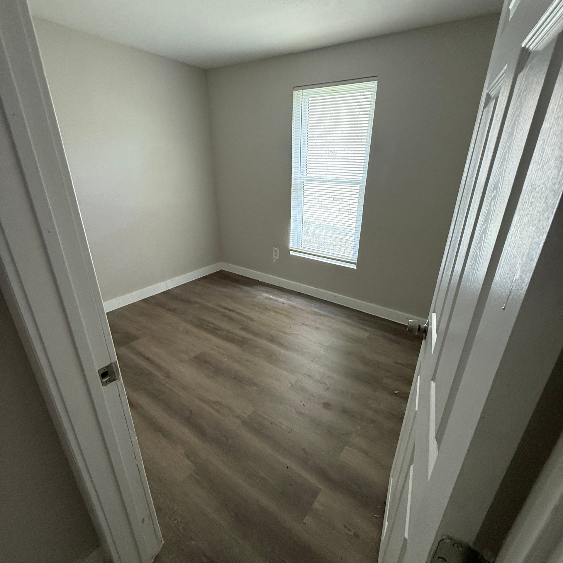 309 Wolfe