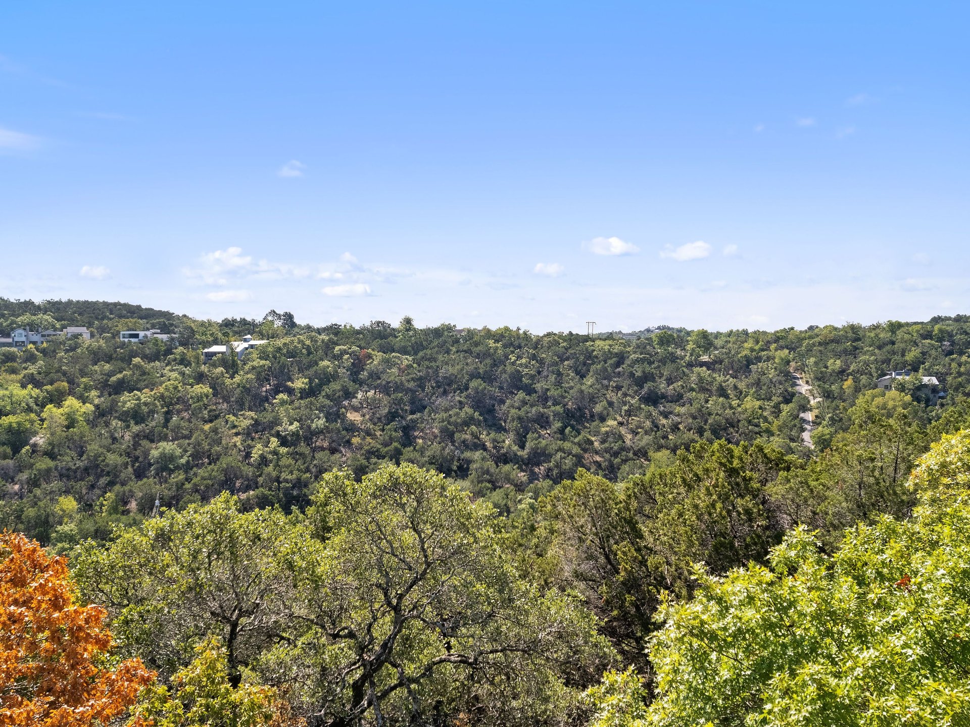 1906 Yaupon Valley Road