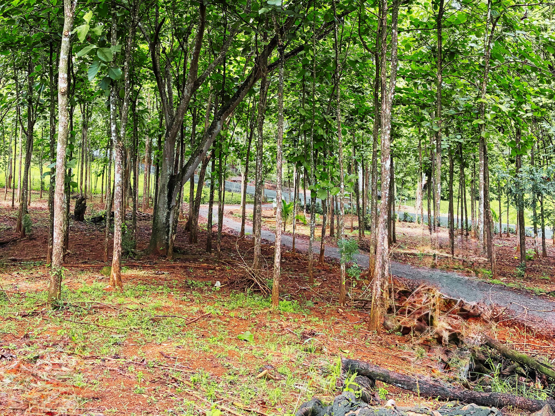 7-Hectare Farm with Teak Plantation, Existing Home & Eco-Development Potential Near Parrita, Costa Rica