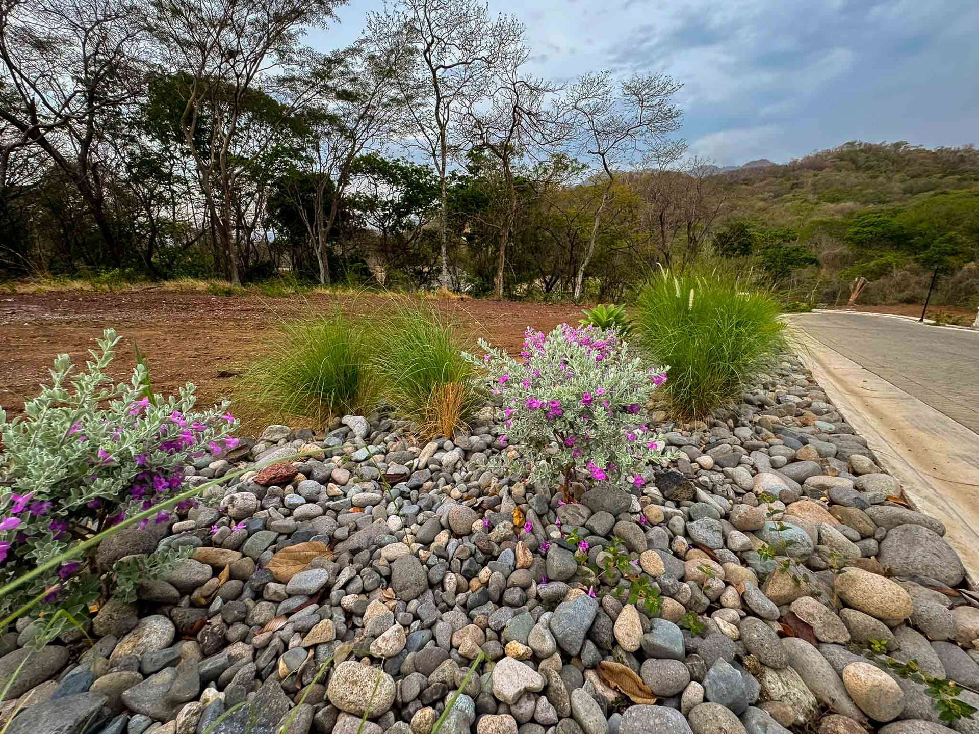 Laurel Lot #18 | Private Build-Ready Lot in Reserva Conchal