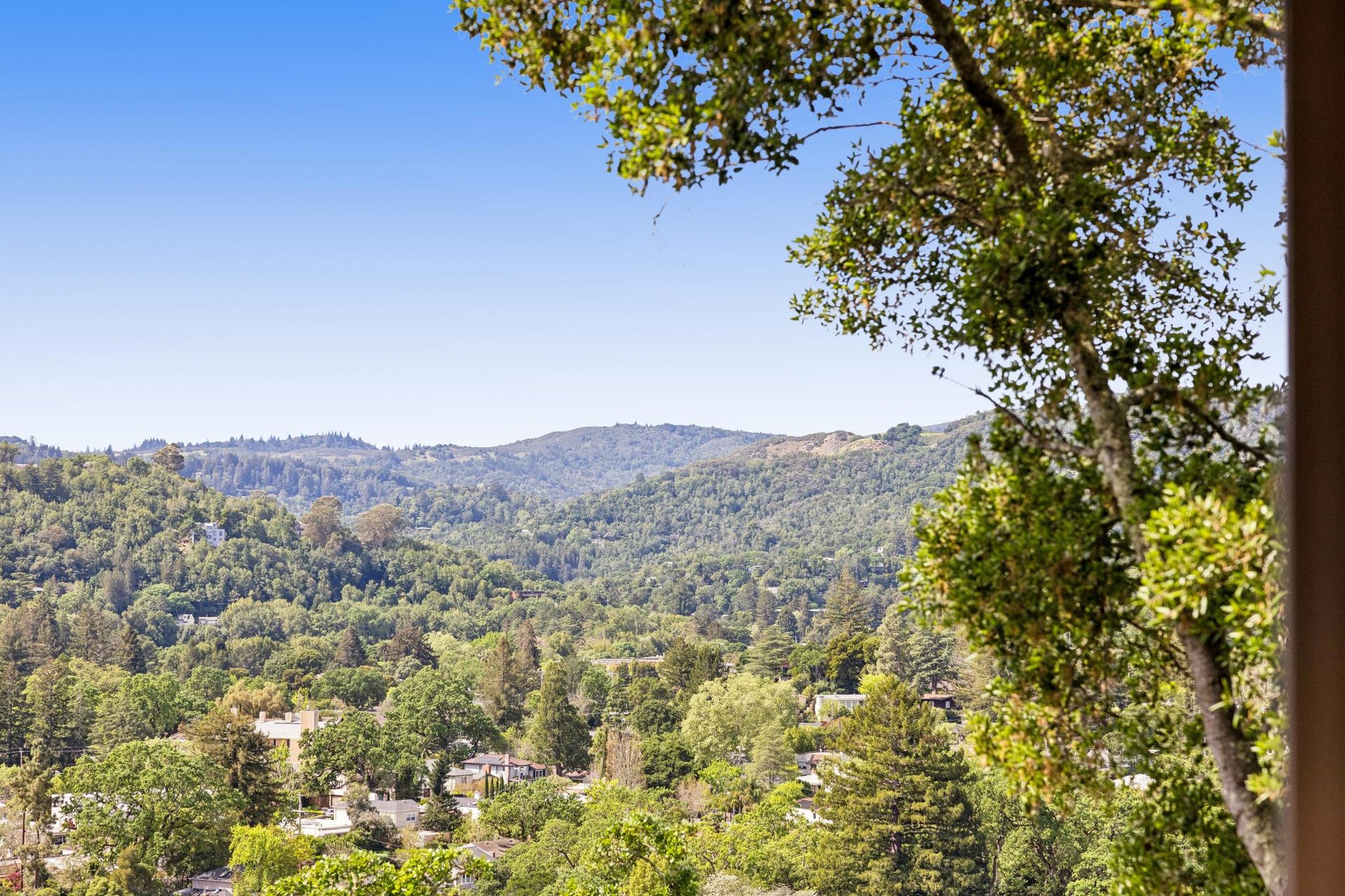95 Ridge