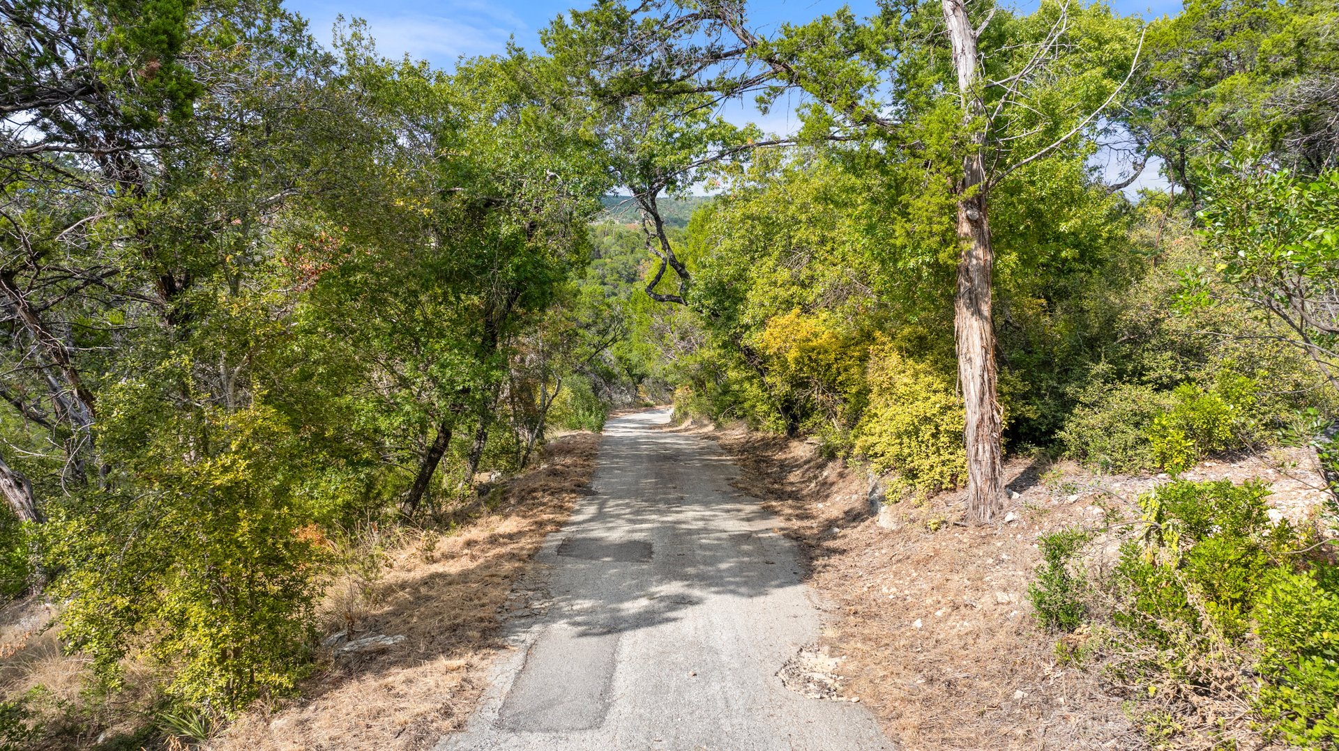 1409 Old Wagon Road