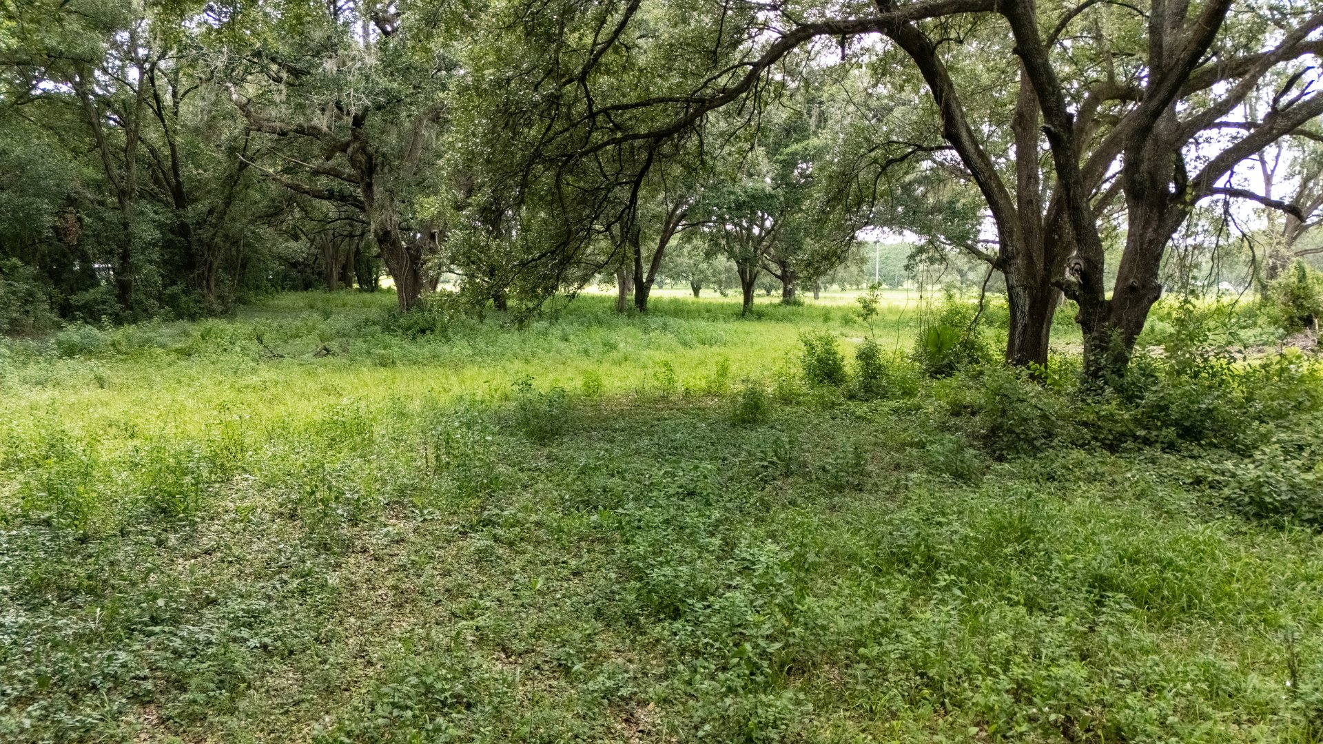 0 FORBES RD