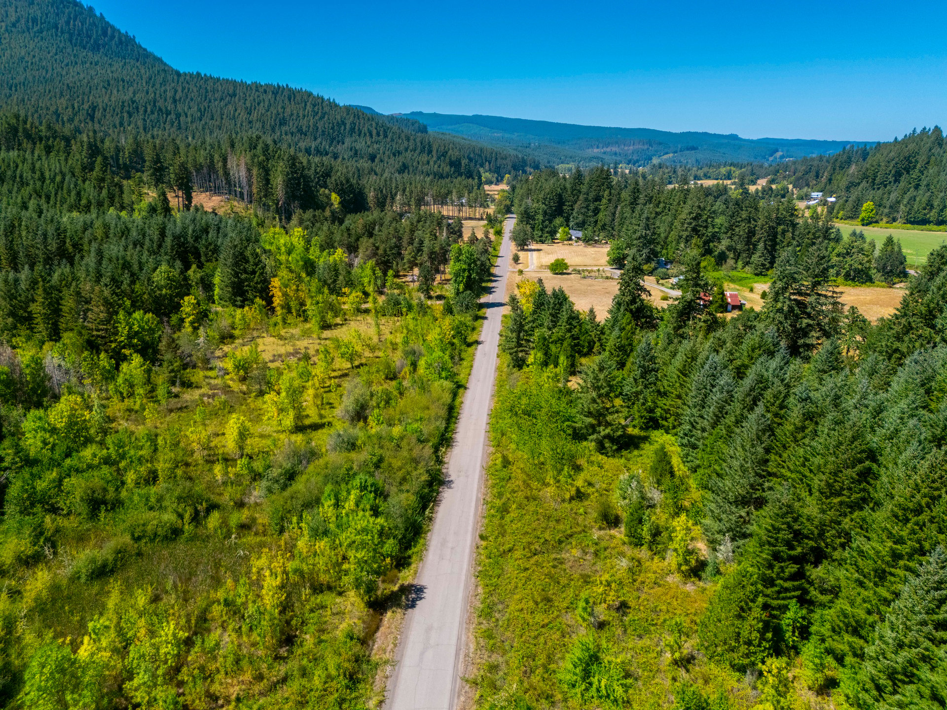 Coast Fork Woodland Meadows