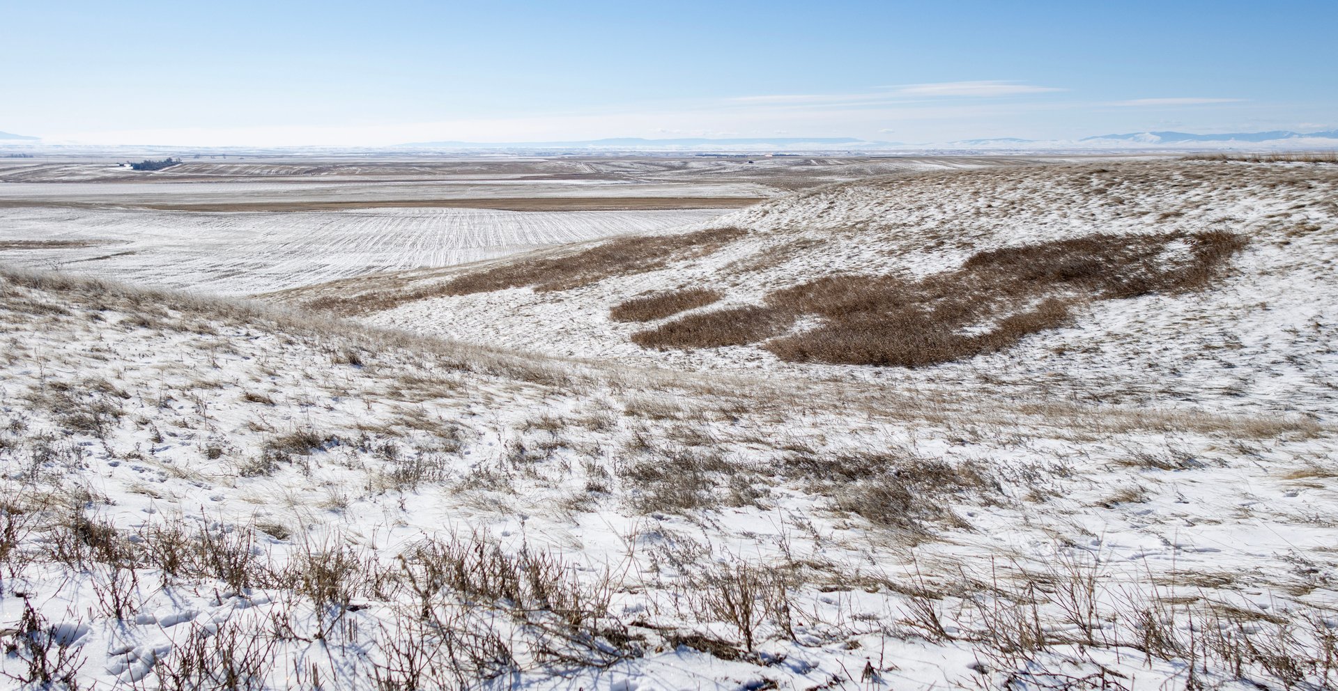 Upland Edge