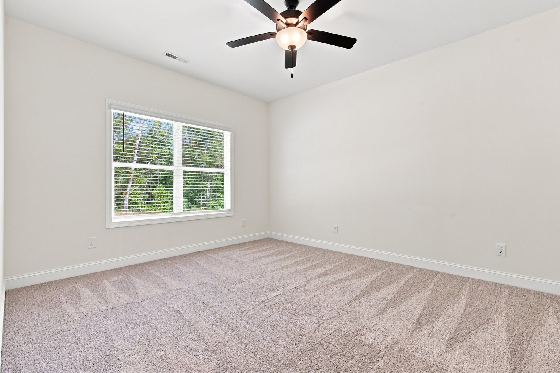 Move-In Ready Home in Spragins Cove