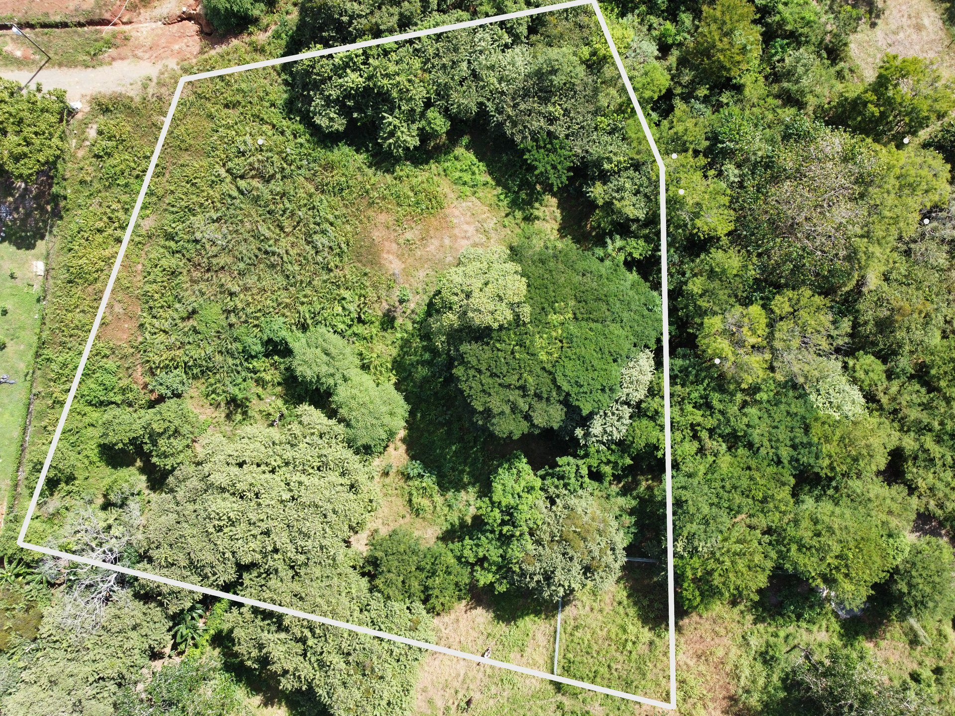 Private Jungle Estate Land in Vistas de Flamingo, Guanacaste, Costa Rica