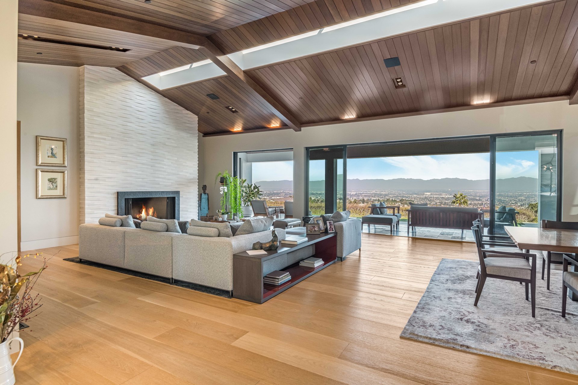 38 Saddleback