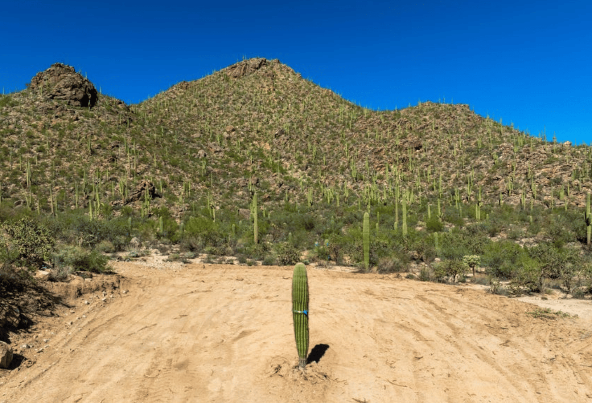 Hacienda - Lot #2 - 14474 N. Old Ranch House Road