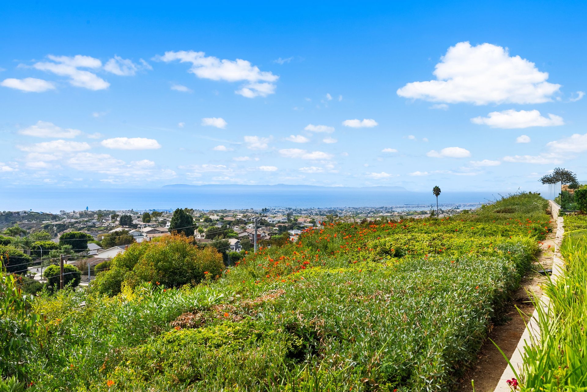 23 San Mateo Way