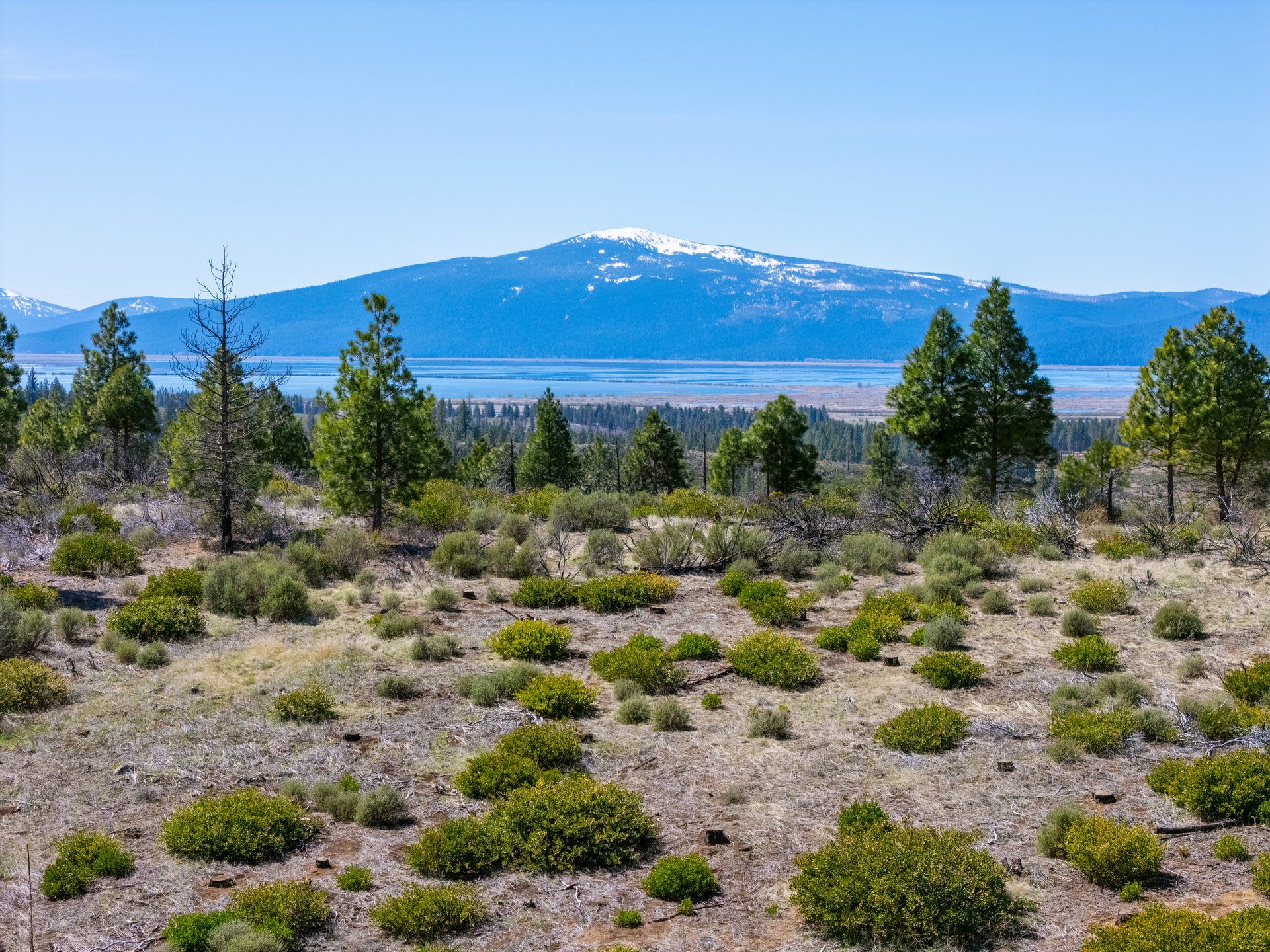 Klamath Basin