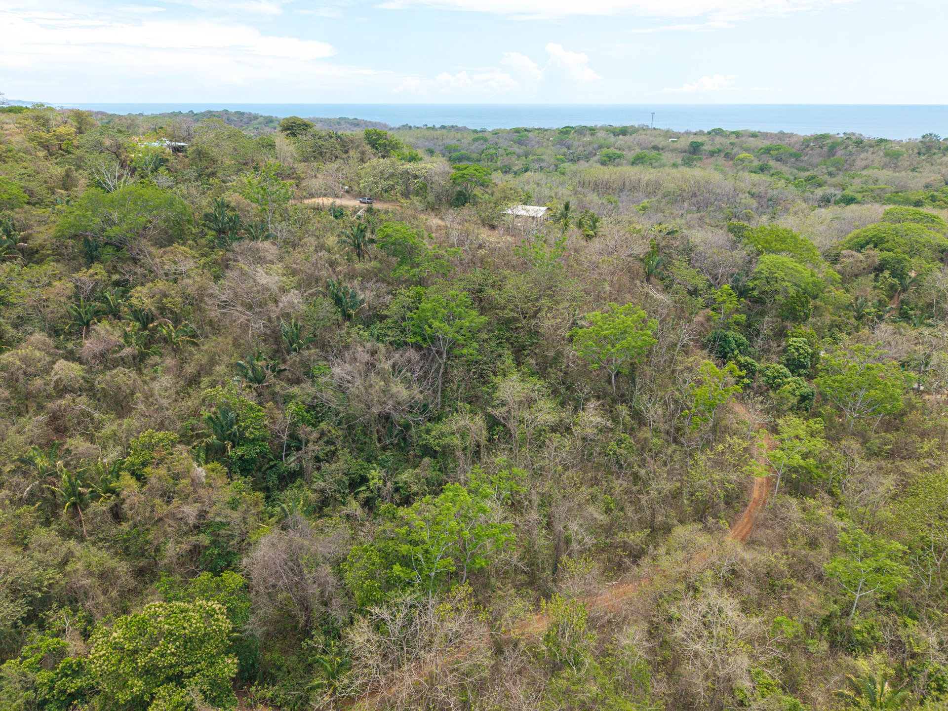 San Juanillo Farm | Large-Scale Ocean View Land with Investment Potential
