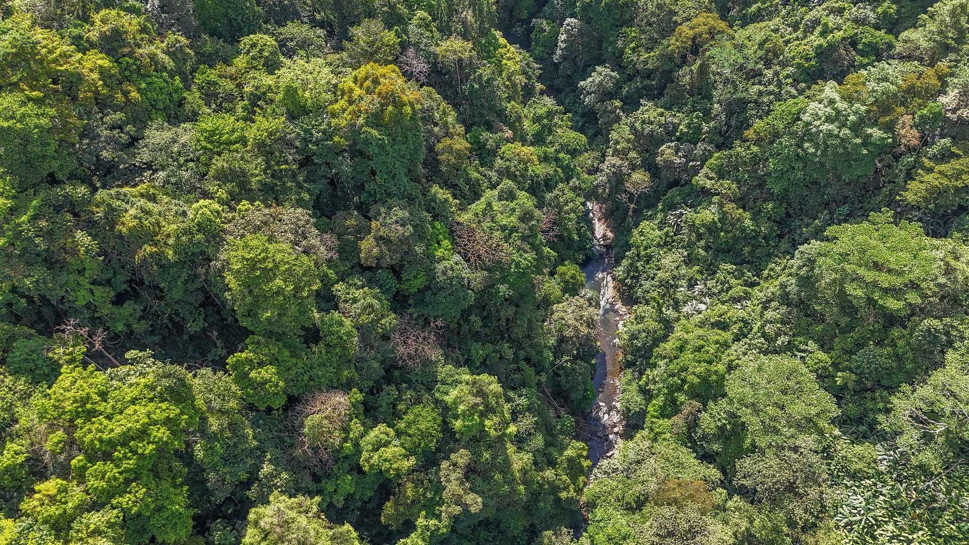 An Exclusive, Sunny Ridge-Top 4-Bed Designer House With Unforgettable Mountain & Jungle Views