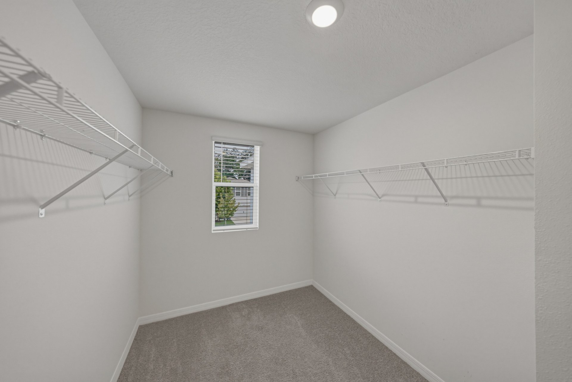 13648 WHISKEY DAISY DR