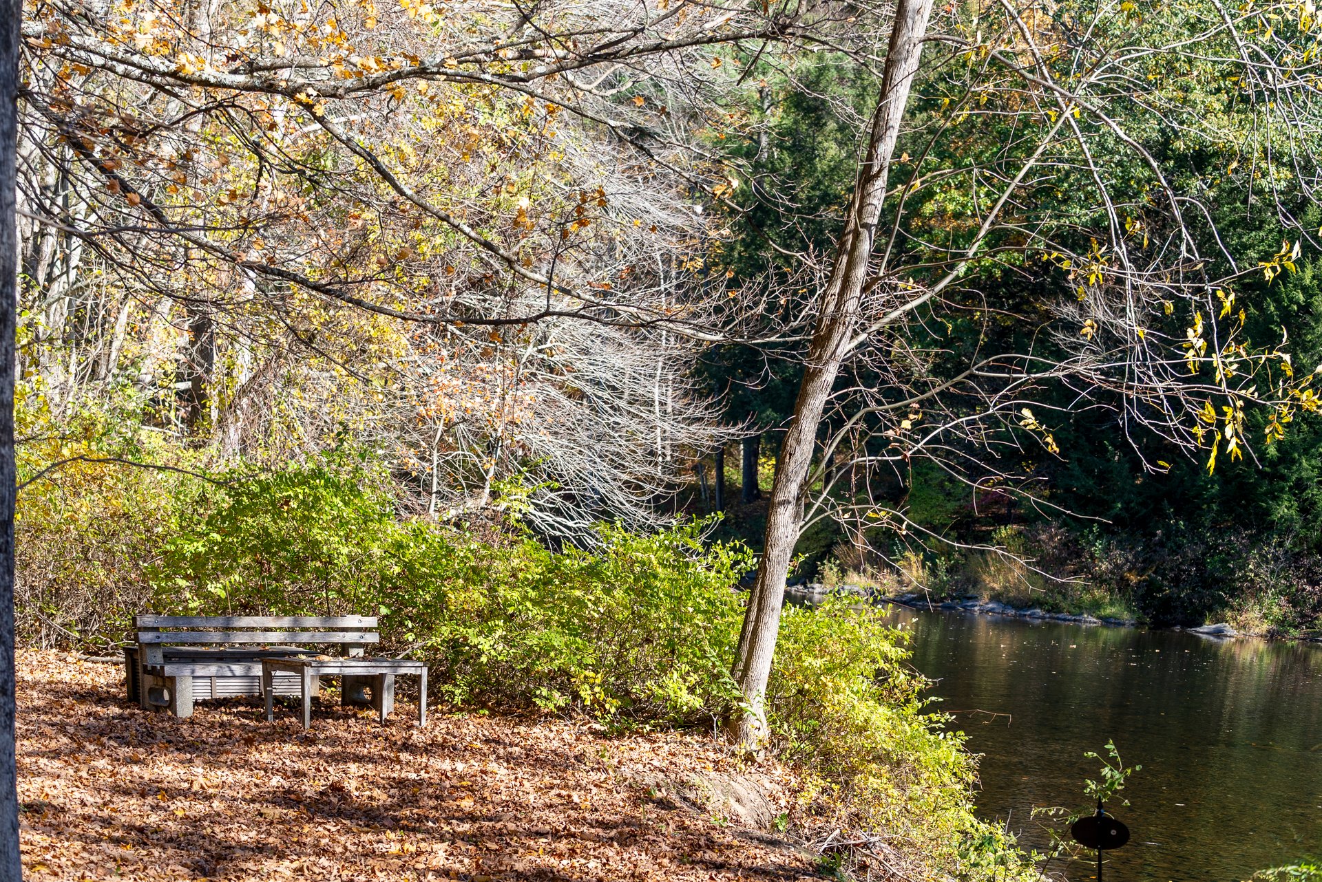 25 Powder Mill Road
