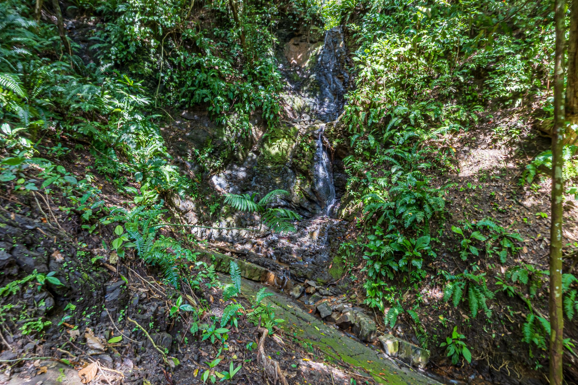 Rare 86-Acre Ocean View Estate Bordering Hacienda Barú – A Unique Opportunity for Conservation and Development