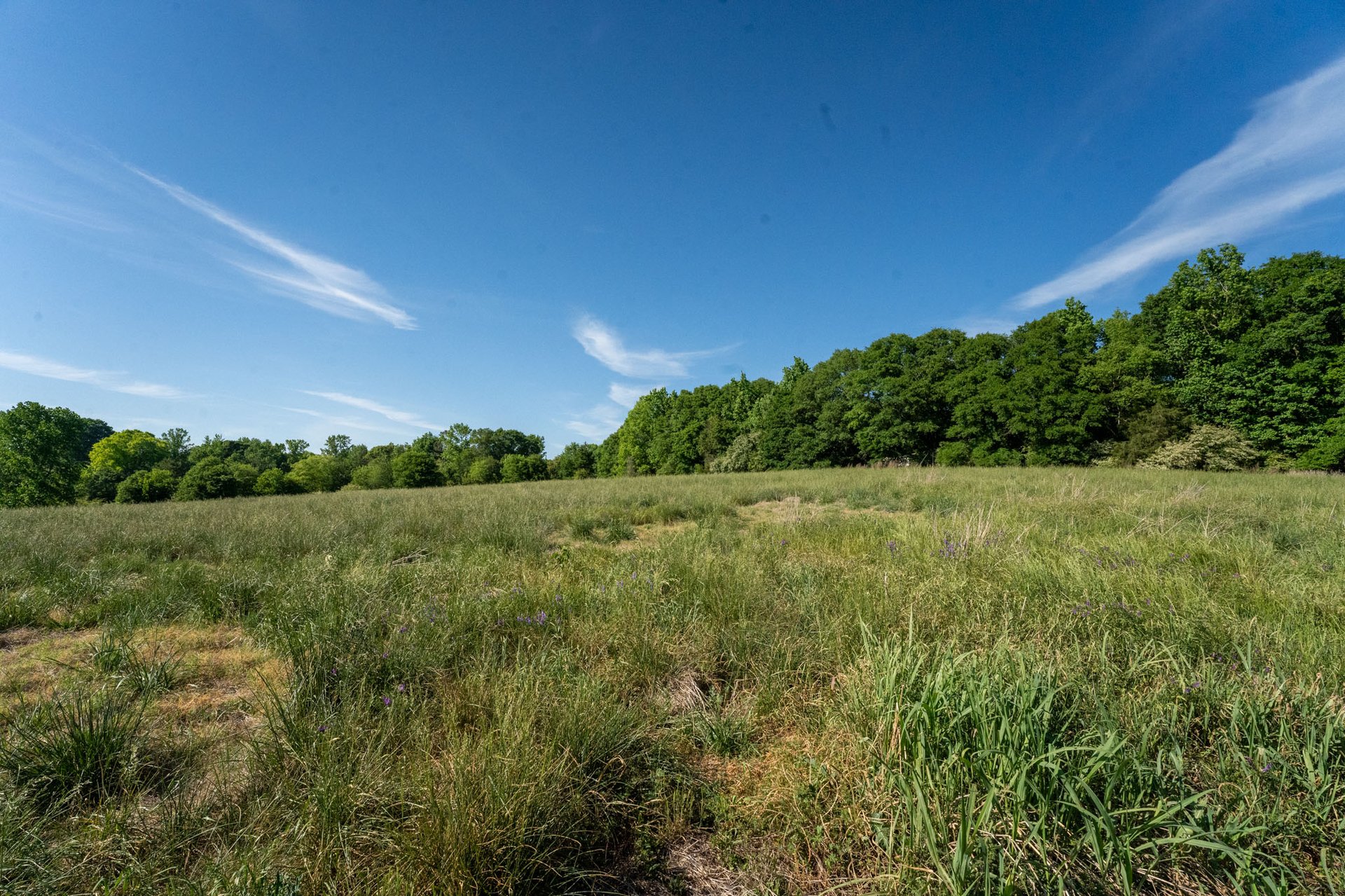 The Ranches at Sandy Creek