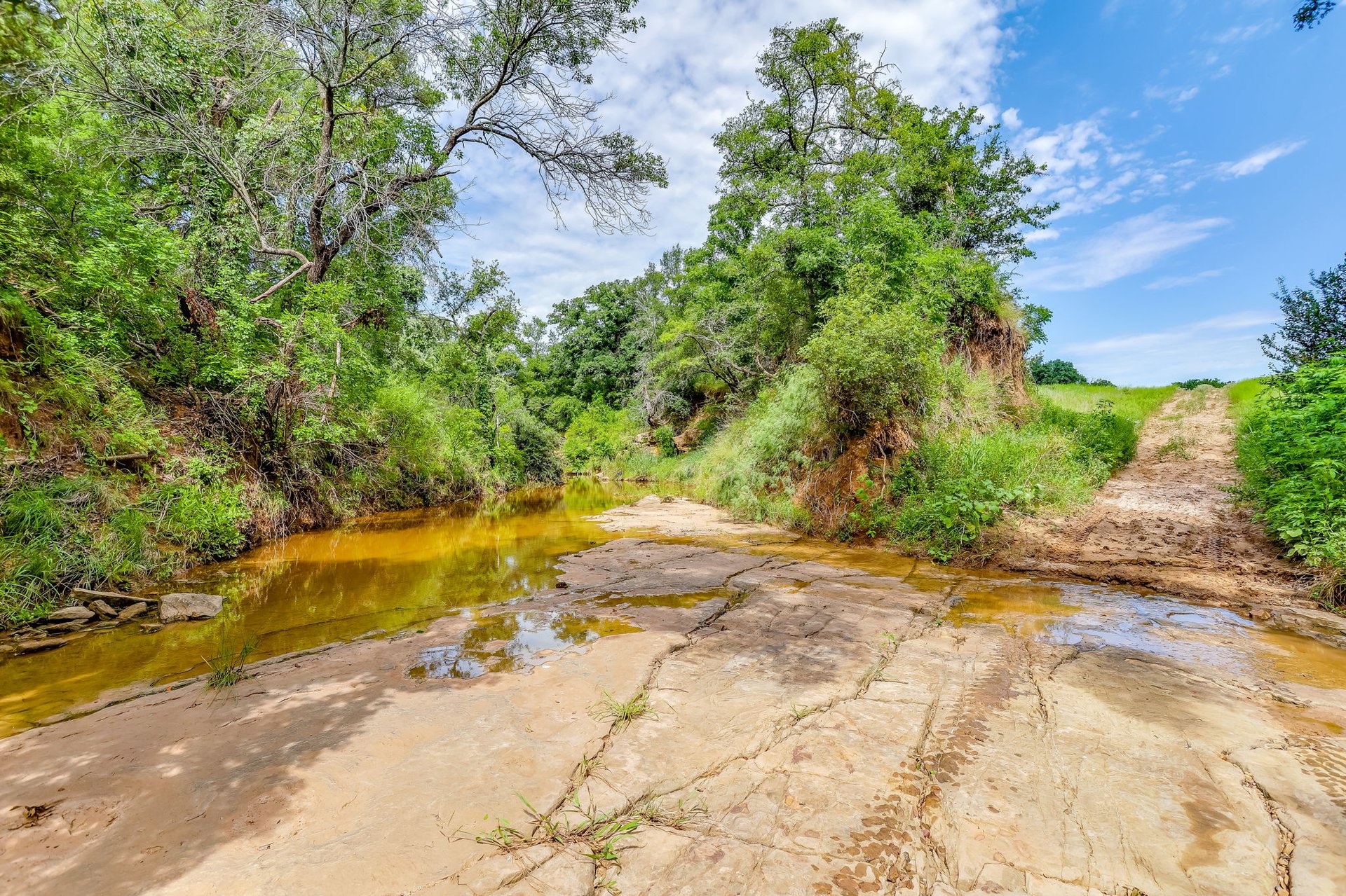 Saddle Ridge Ranch