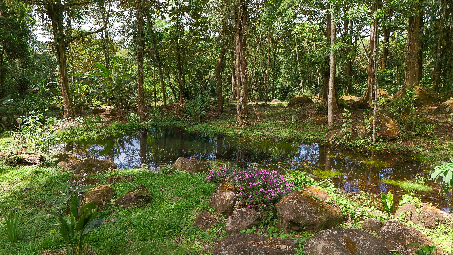 Costa Rica Mountain Retreat – 1.8 ha with Luxury Cabin, Private Lake & Riverfront