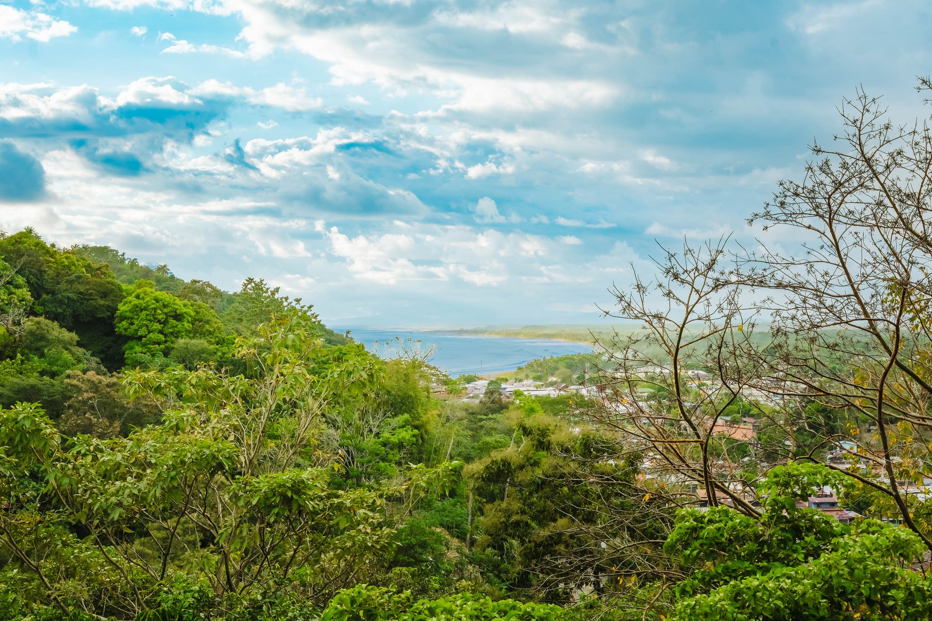 Exceptional Ocean & Jungle-View Estate in a Prestigious Gated Community near Marina Pez Vela
