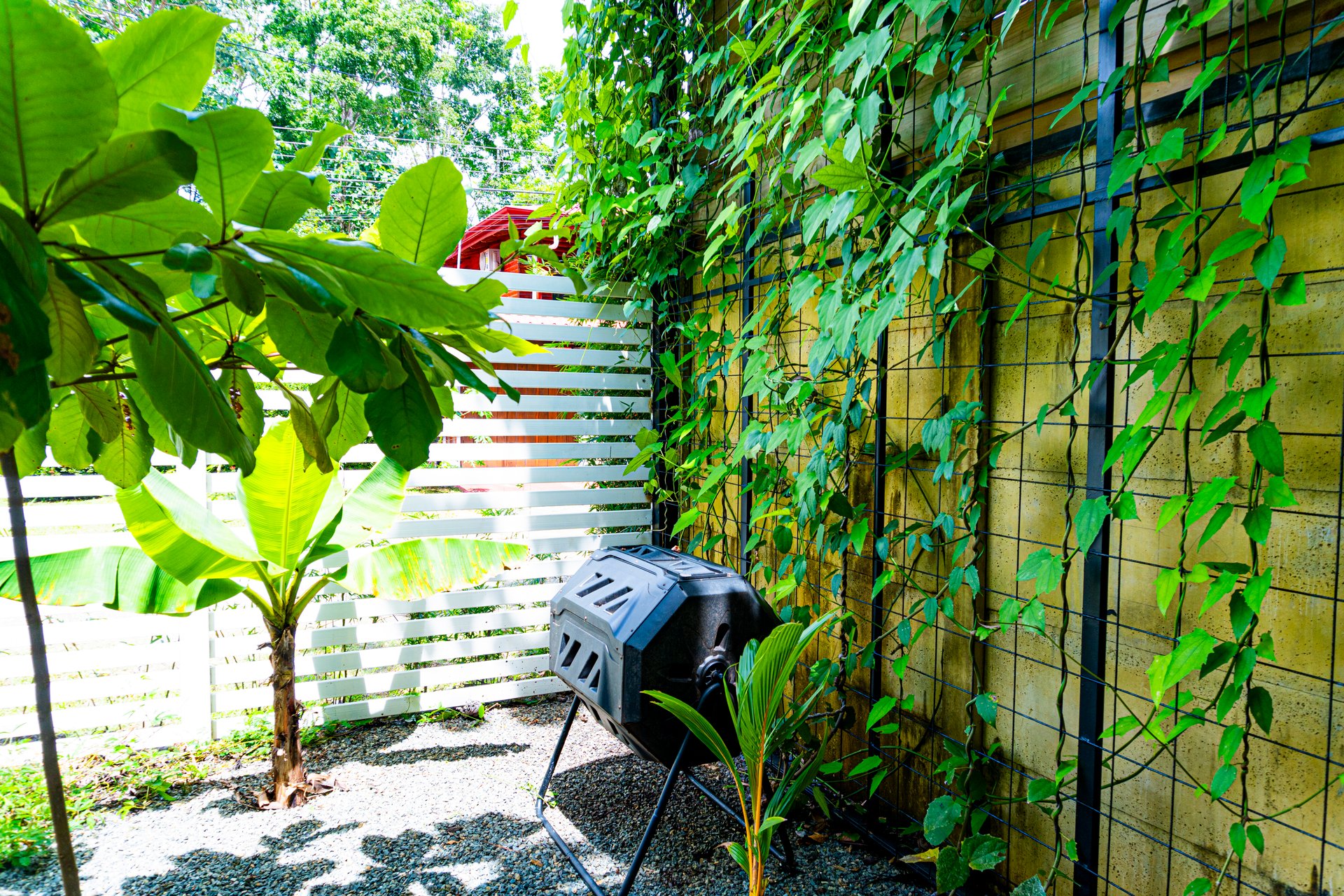 Modern Elegance Meets Tropical Lifestyle in Uvita
