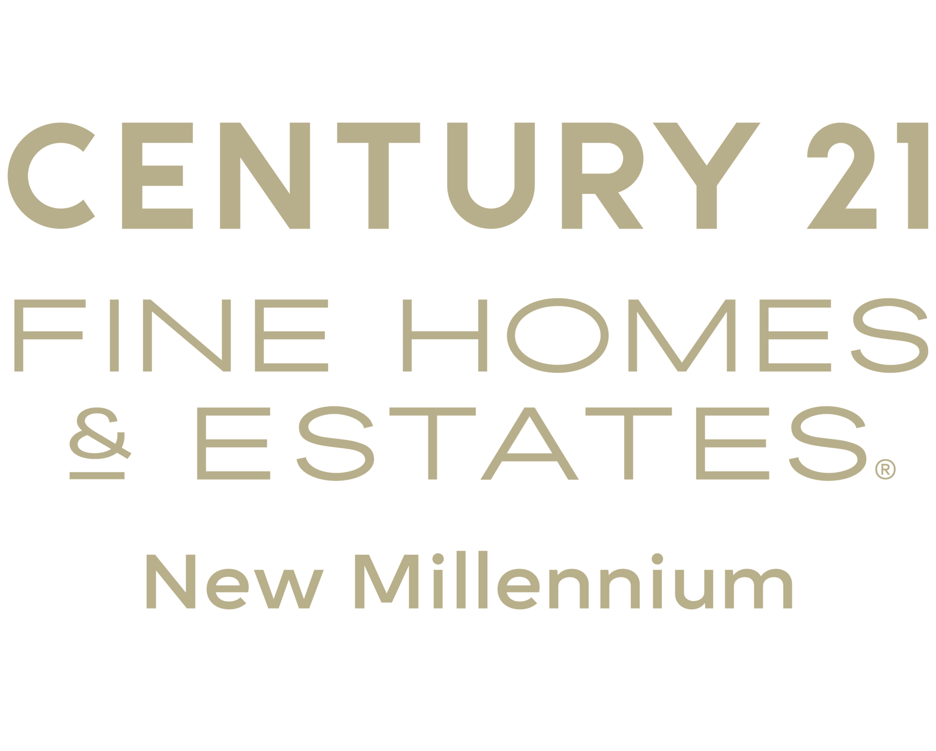 Primary logo placeholder
