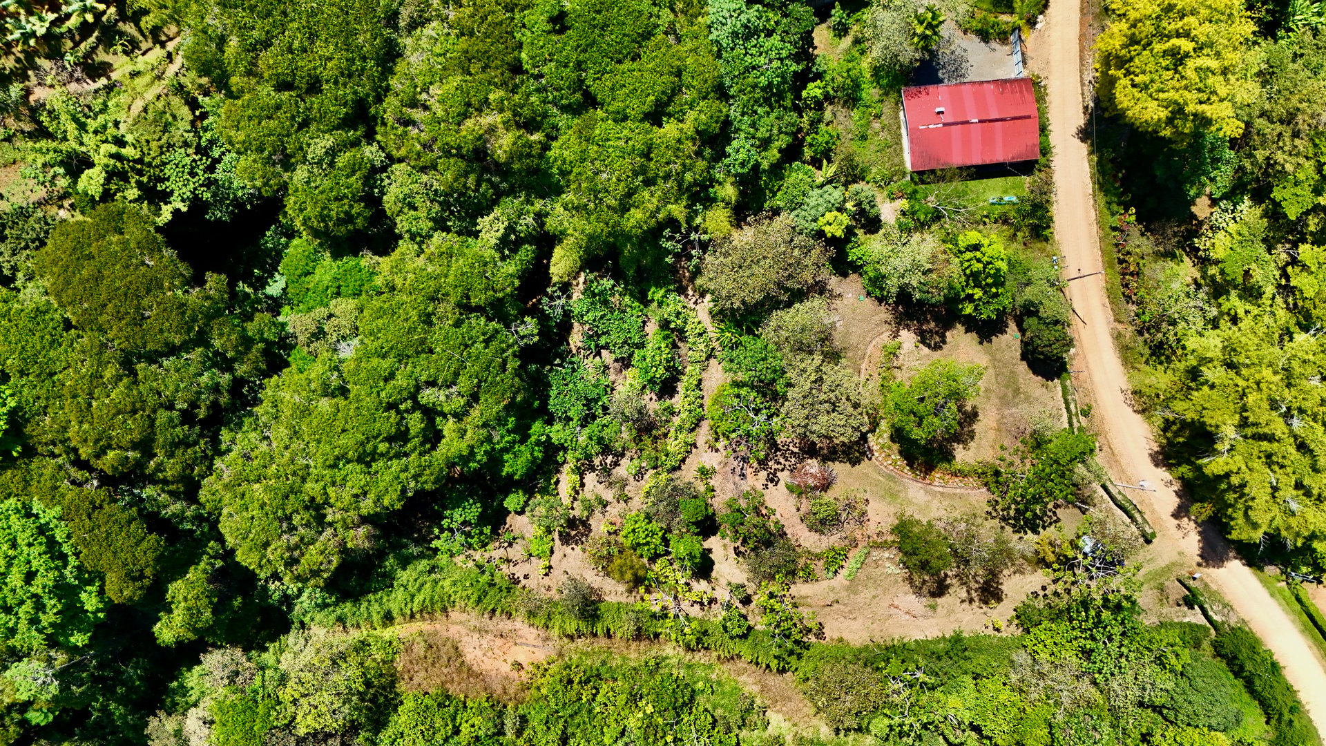 New 1,4 Acre lot in Platanillo – With Legal Water  