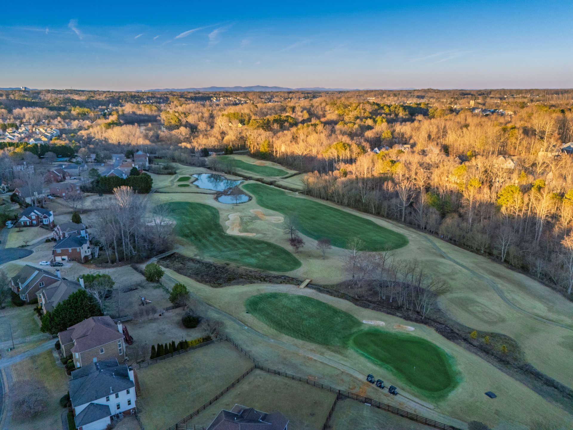 403 Tea Olive Court