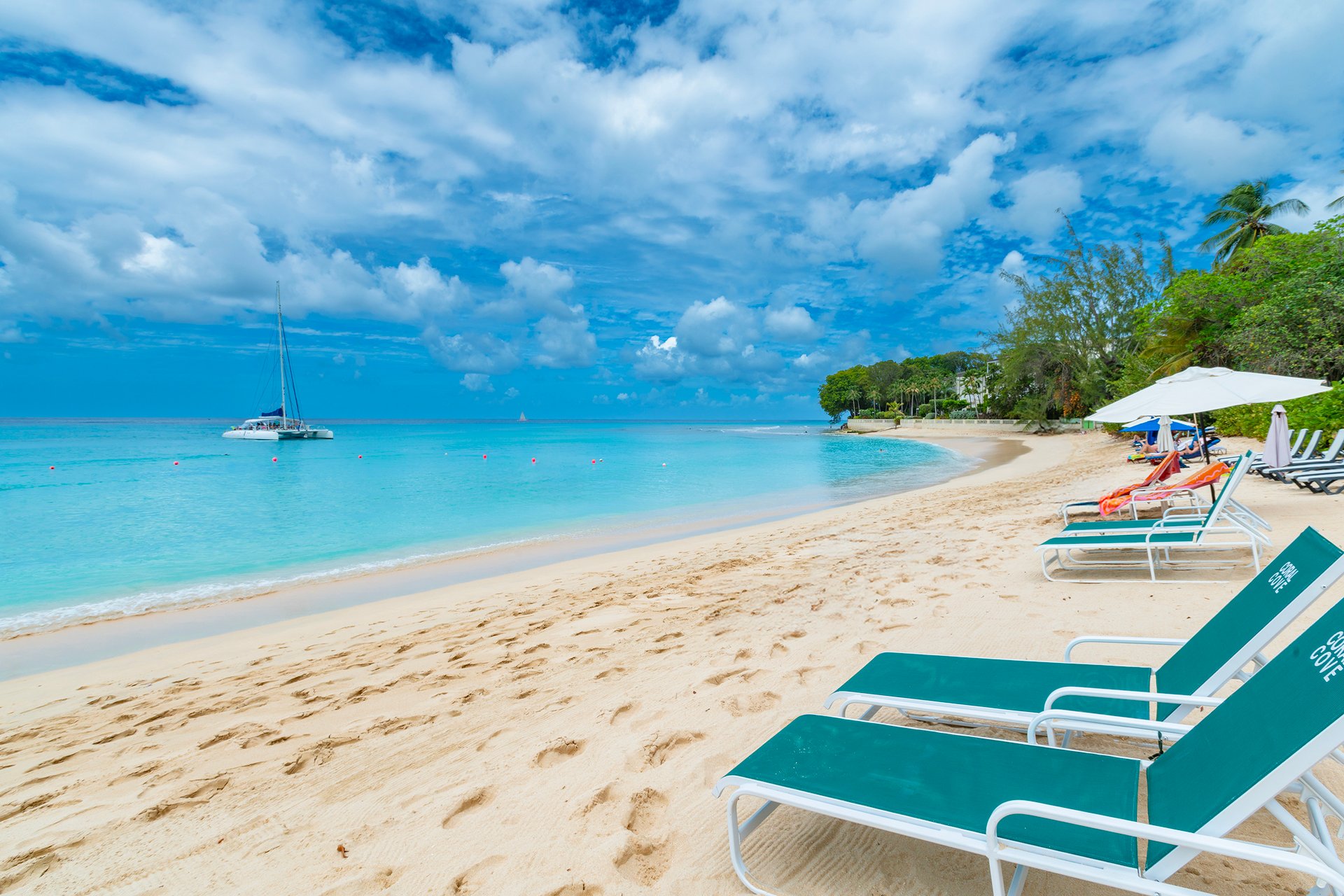 Coral Cove One