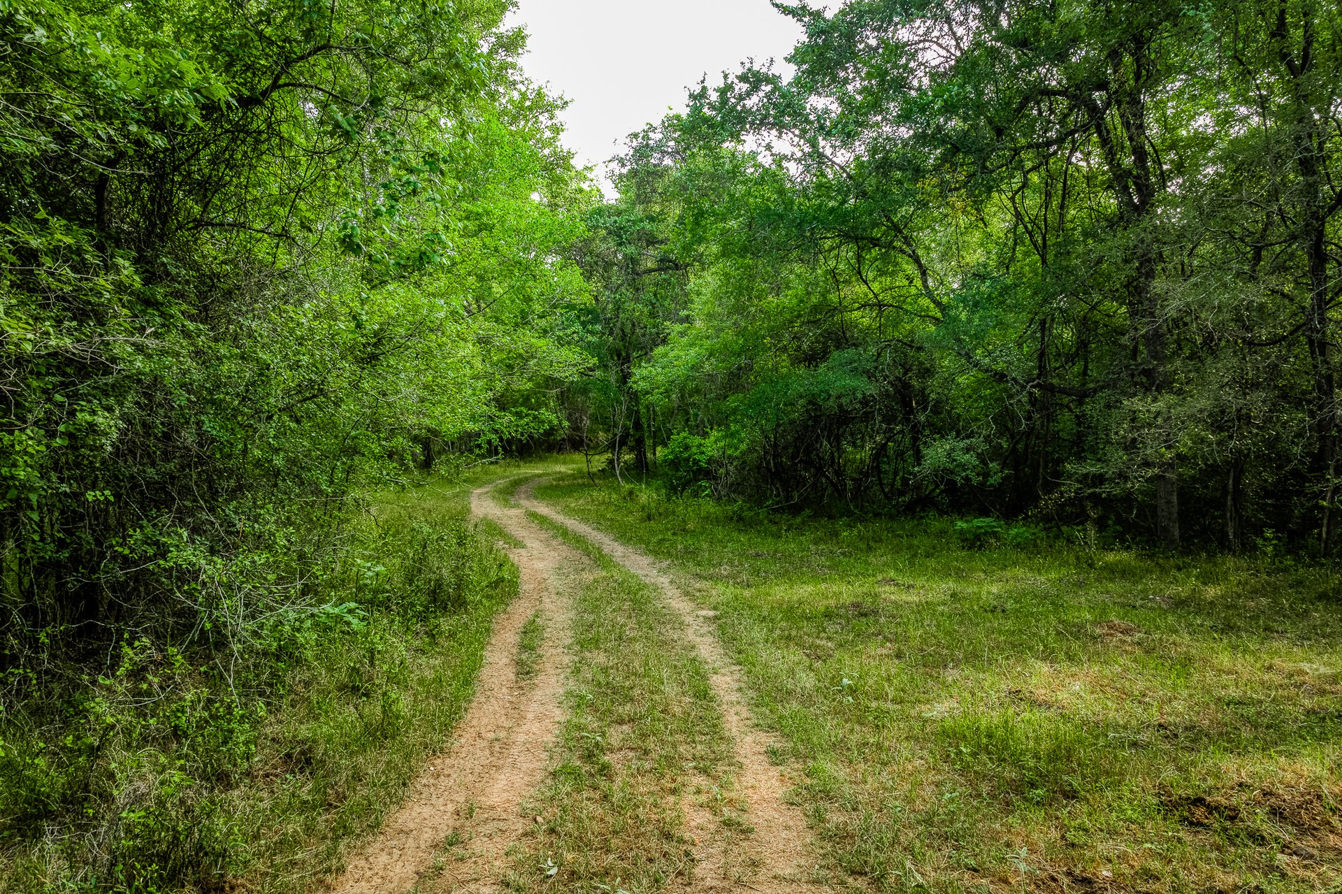 Revival Ranch TX