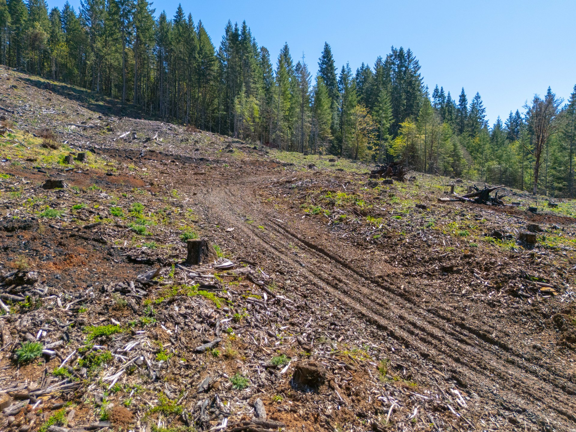 Sharewater Homesite
