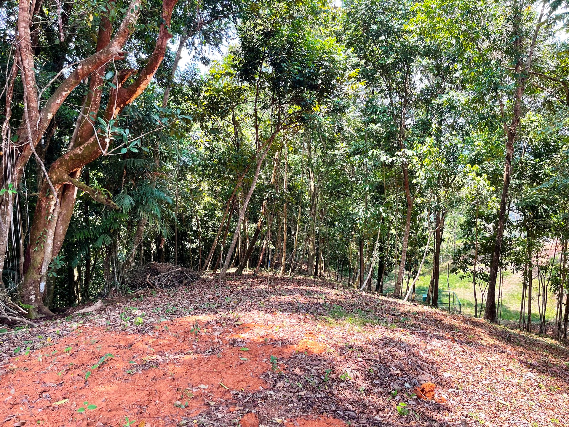 2.5 Acre Jungle and Valley View Home site in Dominical