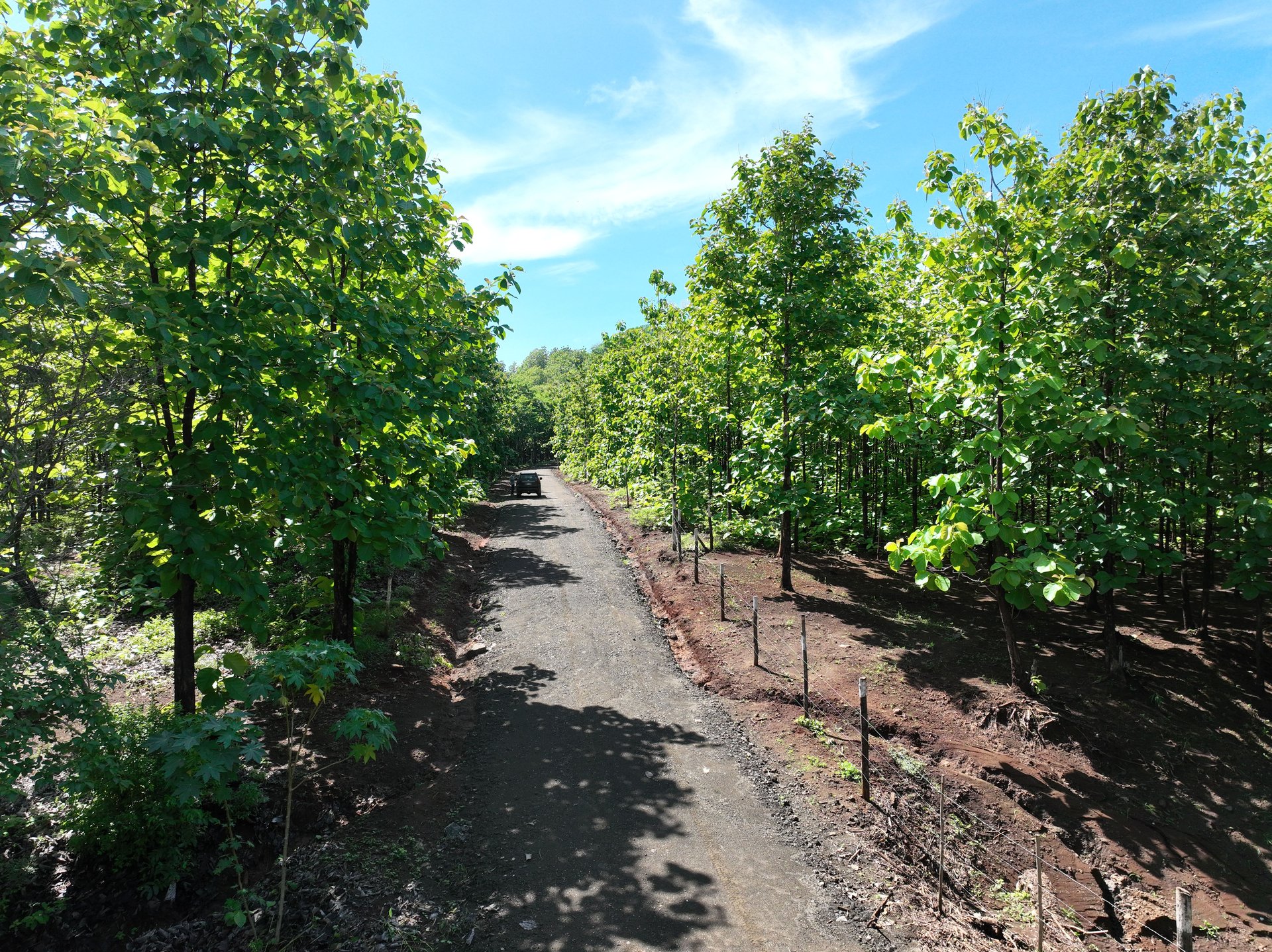 Lot #17 in Pinilla Teka | 5,000m² Lot in Altos de Pinilla, Tranquility and Opportunity 10 Minutes from Playa Avellanas!
