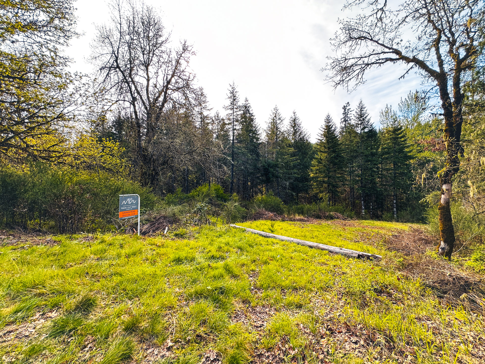 Liberty Forest Auction