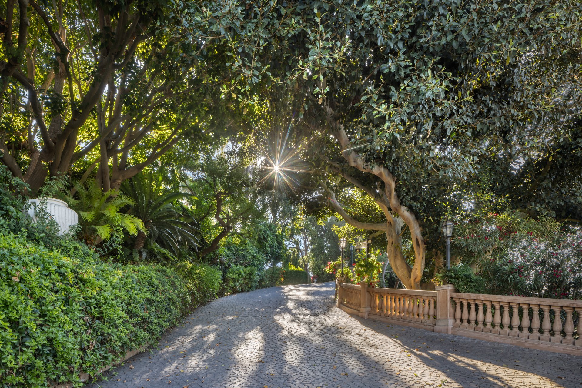1005 Bel Air Ct