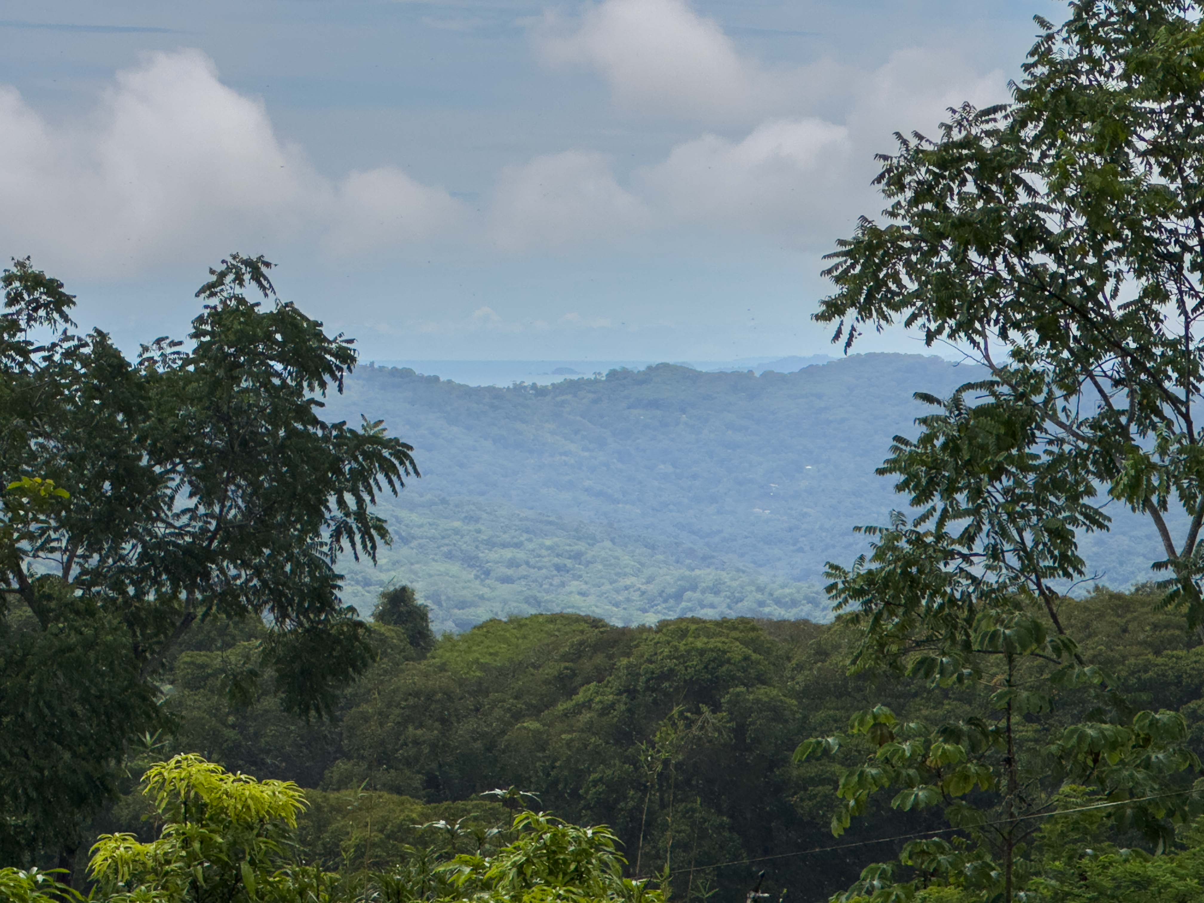 Tinamastes Eco Orchard | Creekside 2BR Home + Studio Casita
