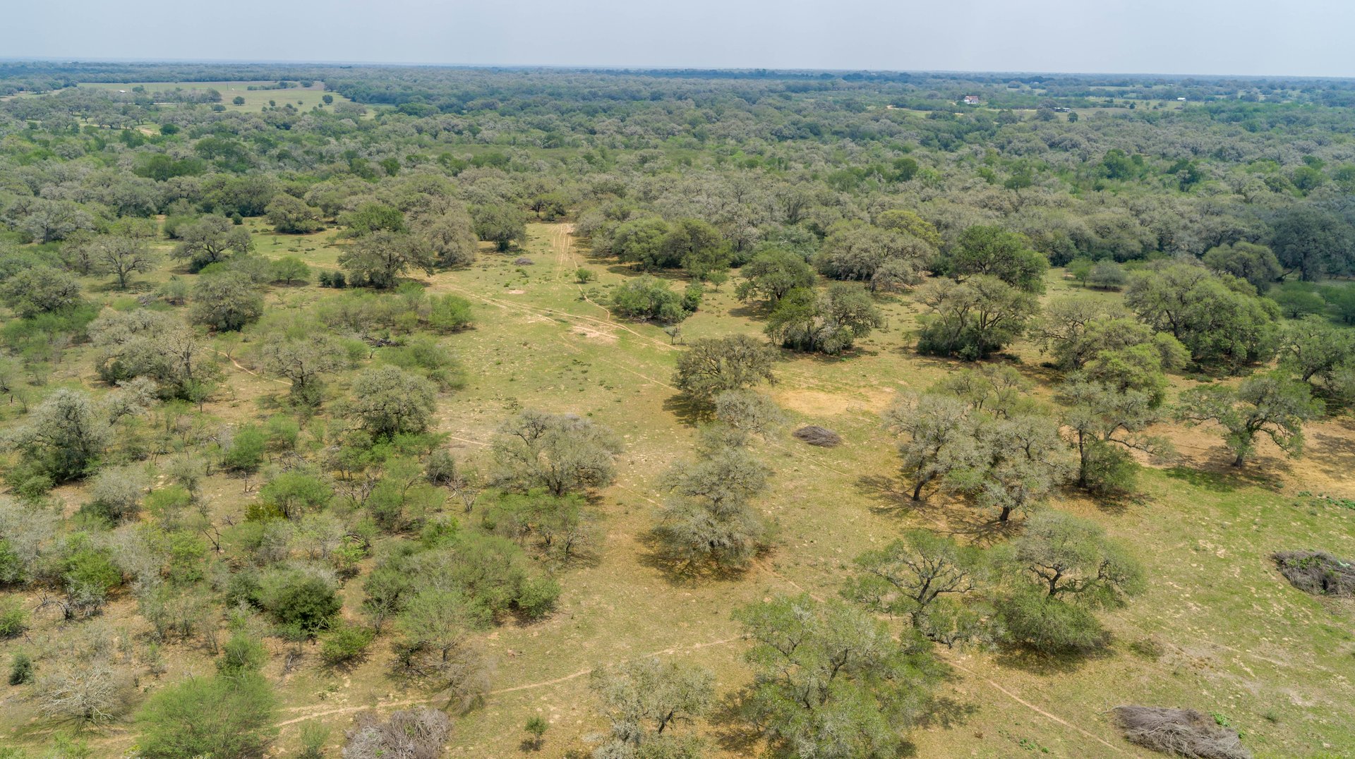 Five Mile Creek Reserve | 252.73± Acres-High Fence | DeWitt County, TX