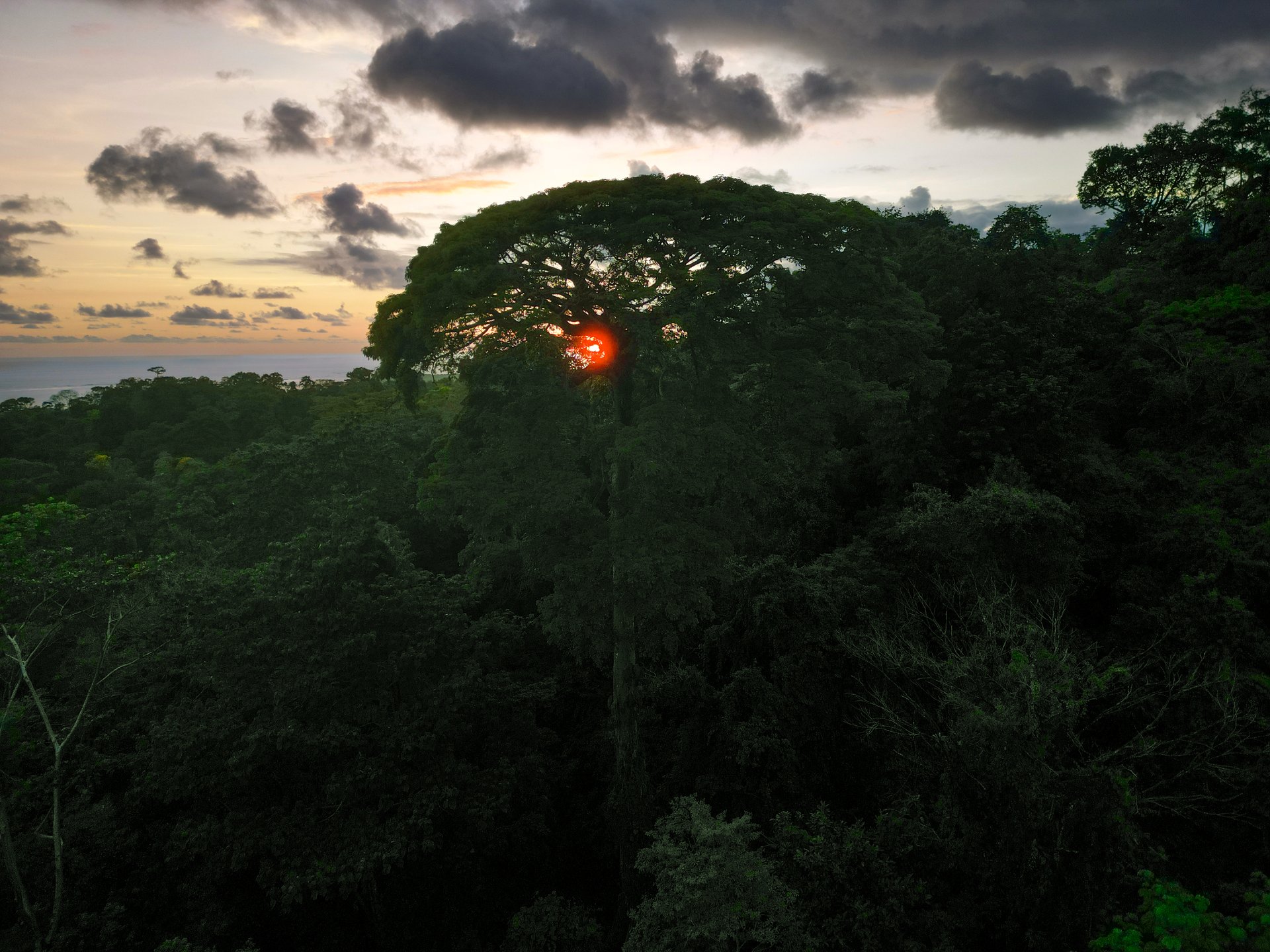 Build Your Vision in Uvita – 15.9 Ocean View Acres with Easy Access + Utilities Ready!