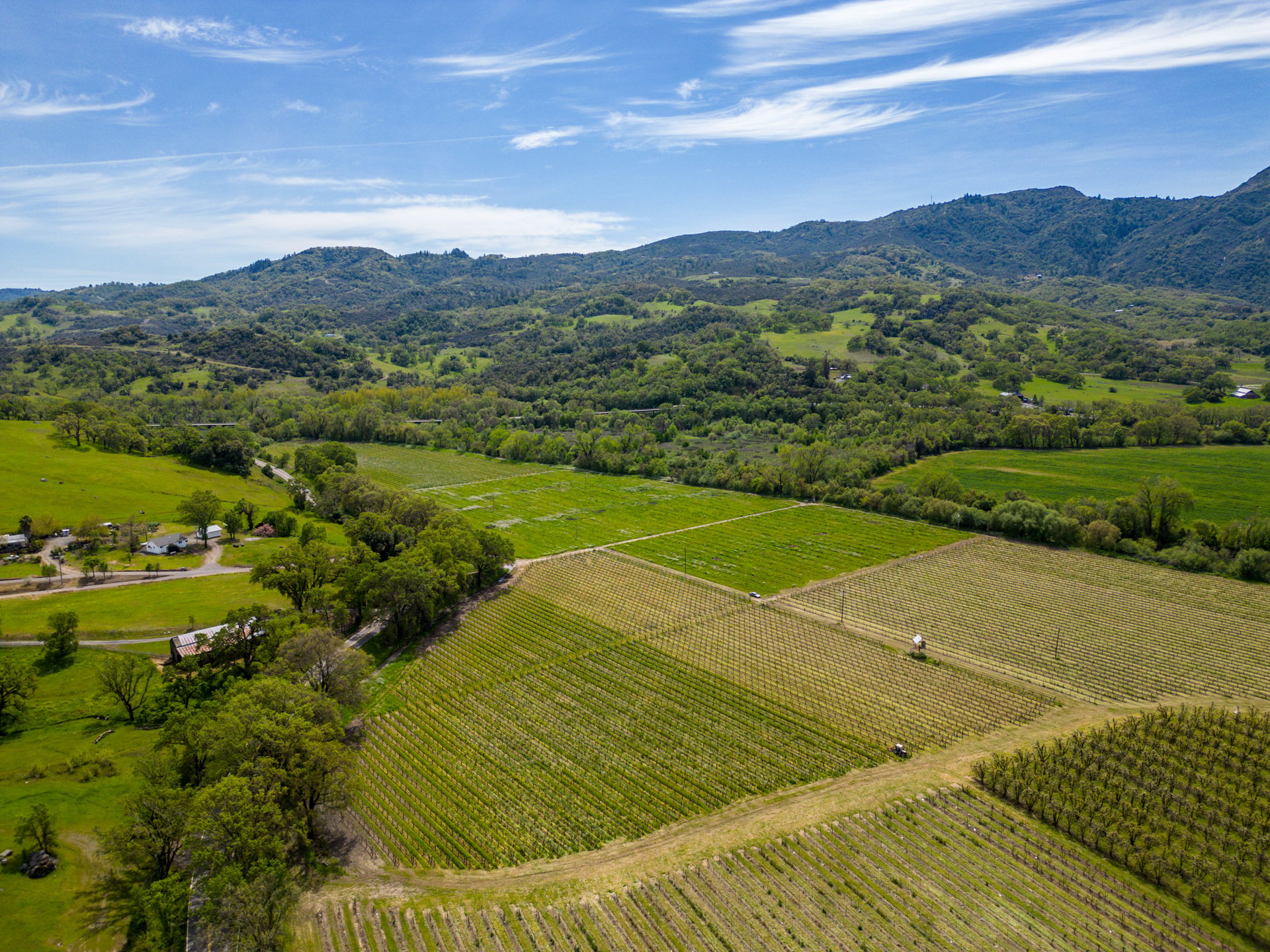 The Hopland Hills Ranch