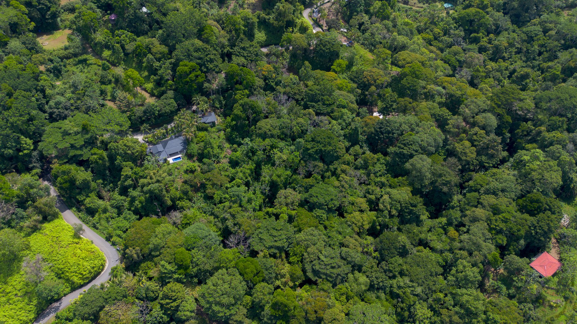 6.45 ACRES – 3 Bedroom Luxury Ocean View Home Surrounded By Vibrant Rainforest And Wildlife!!!