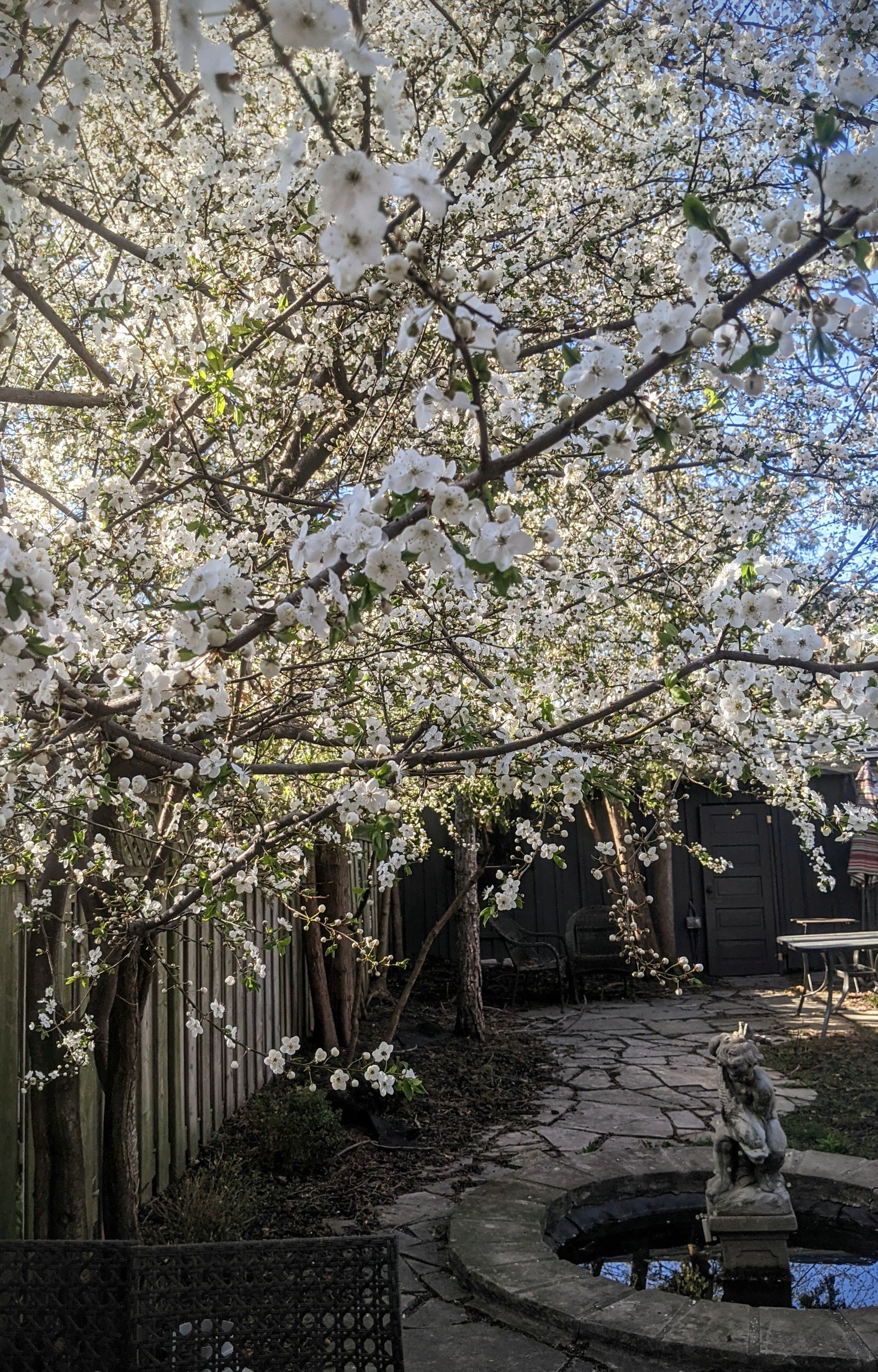 48 Galley Avenue