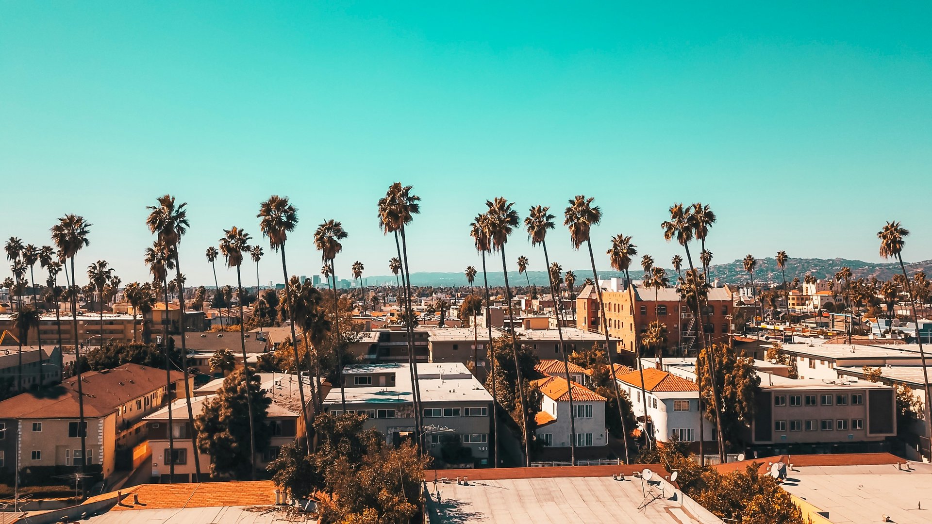 How to Get the Most Out of a Day House Hunting in Los Angeles