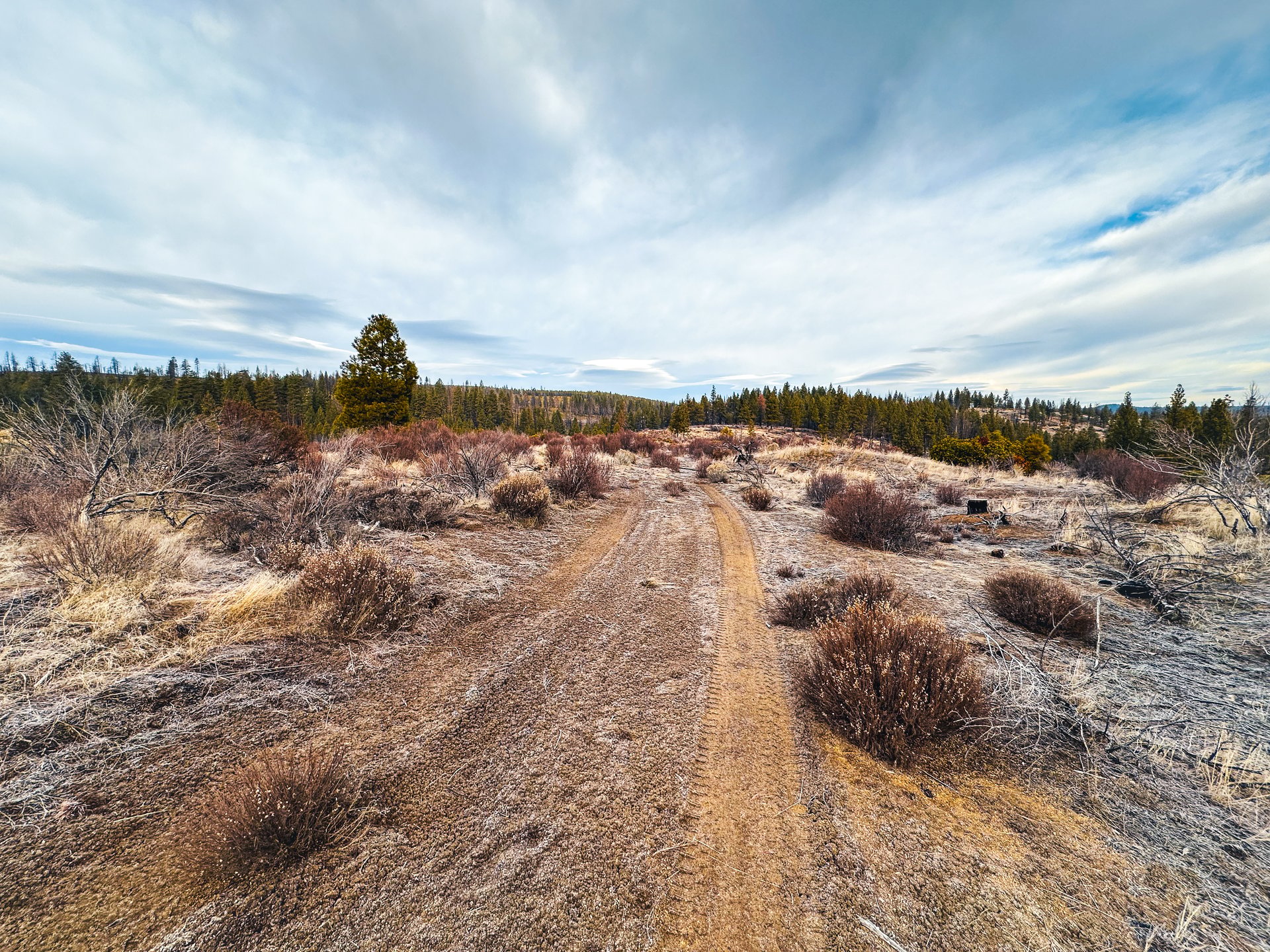 Klamath Basin