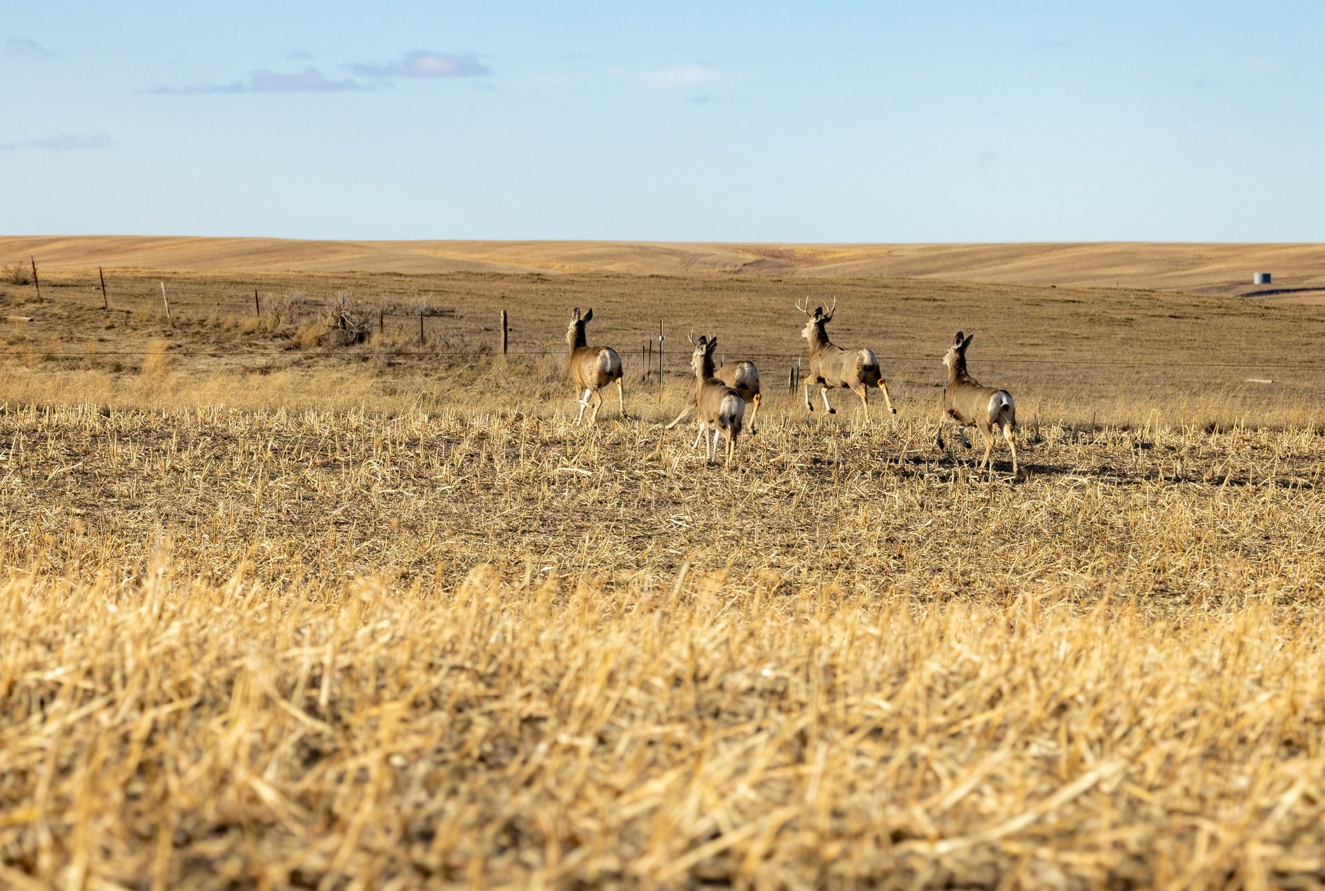 Prairie Rise Ranch