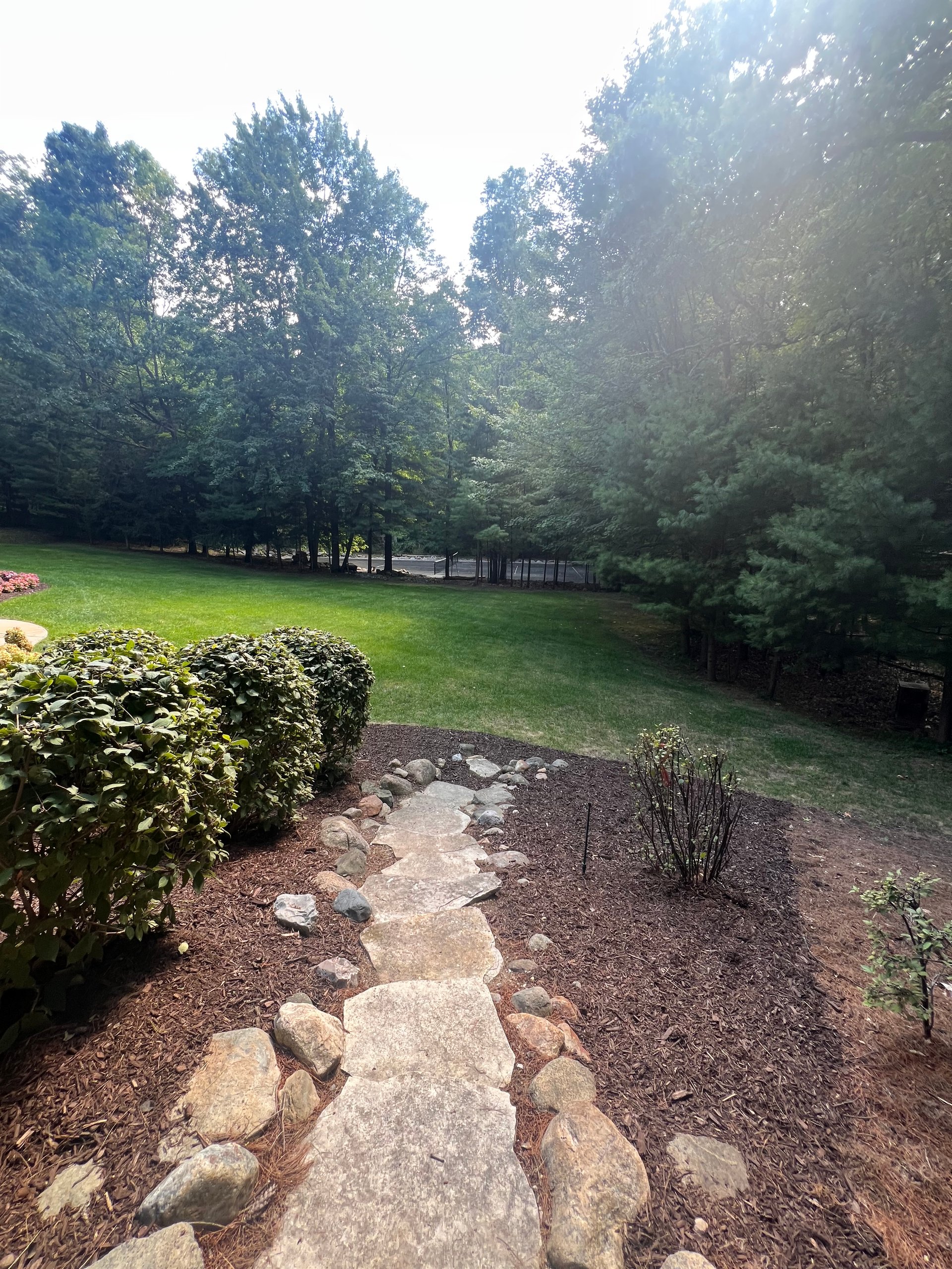 12172 Woodline