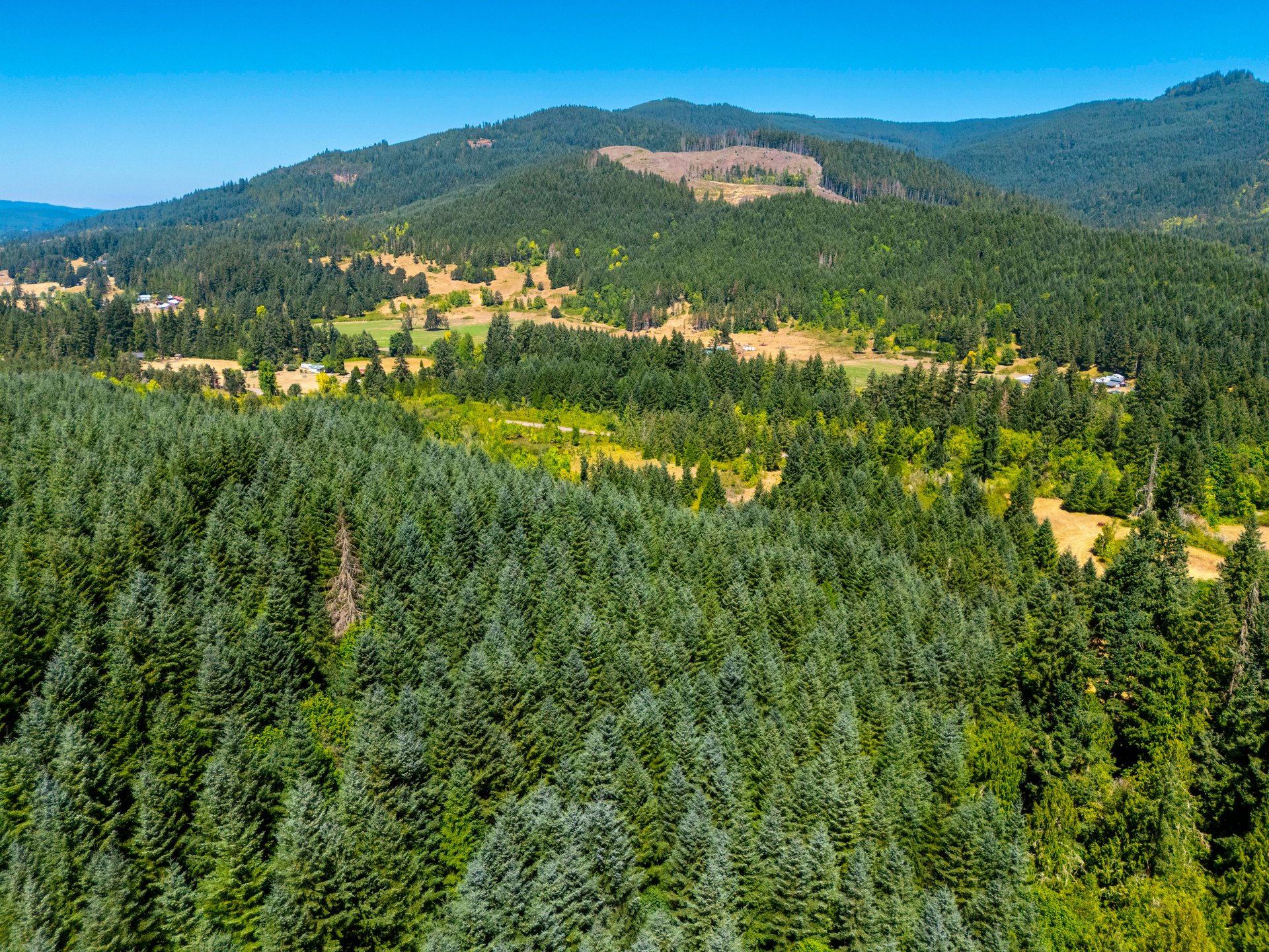 Coast Fork Woodland Meadows
