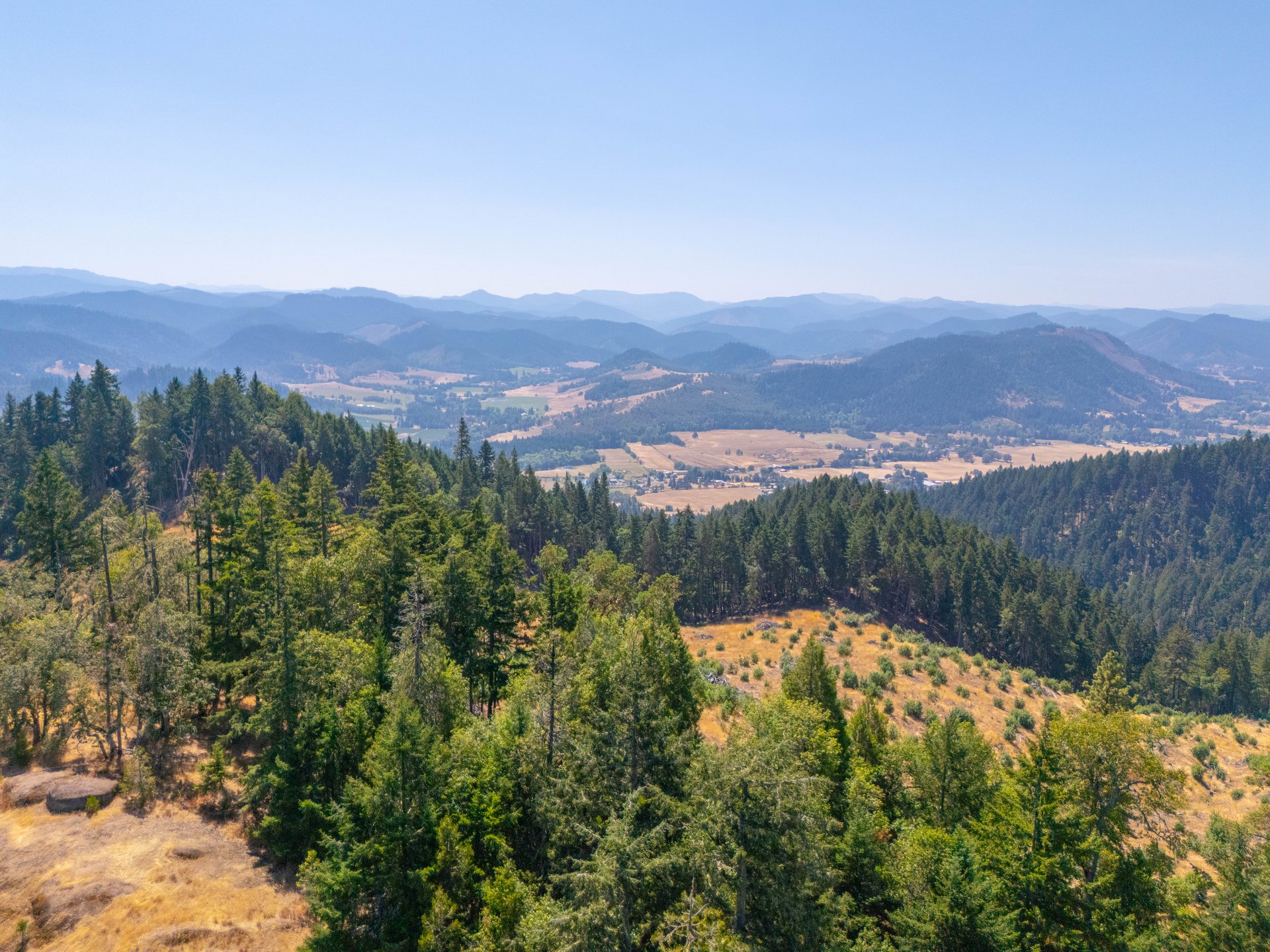 STRICKLAND BOULDER FOREST