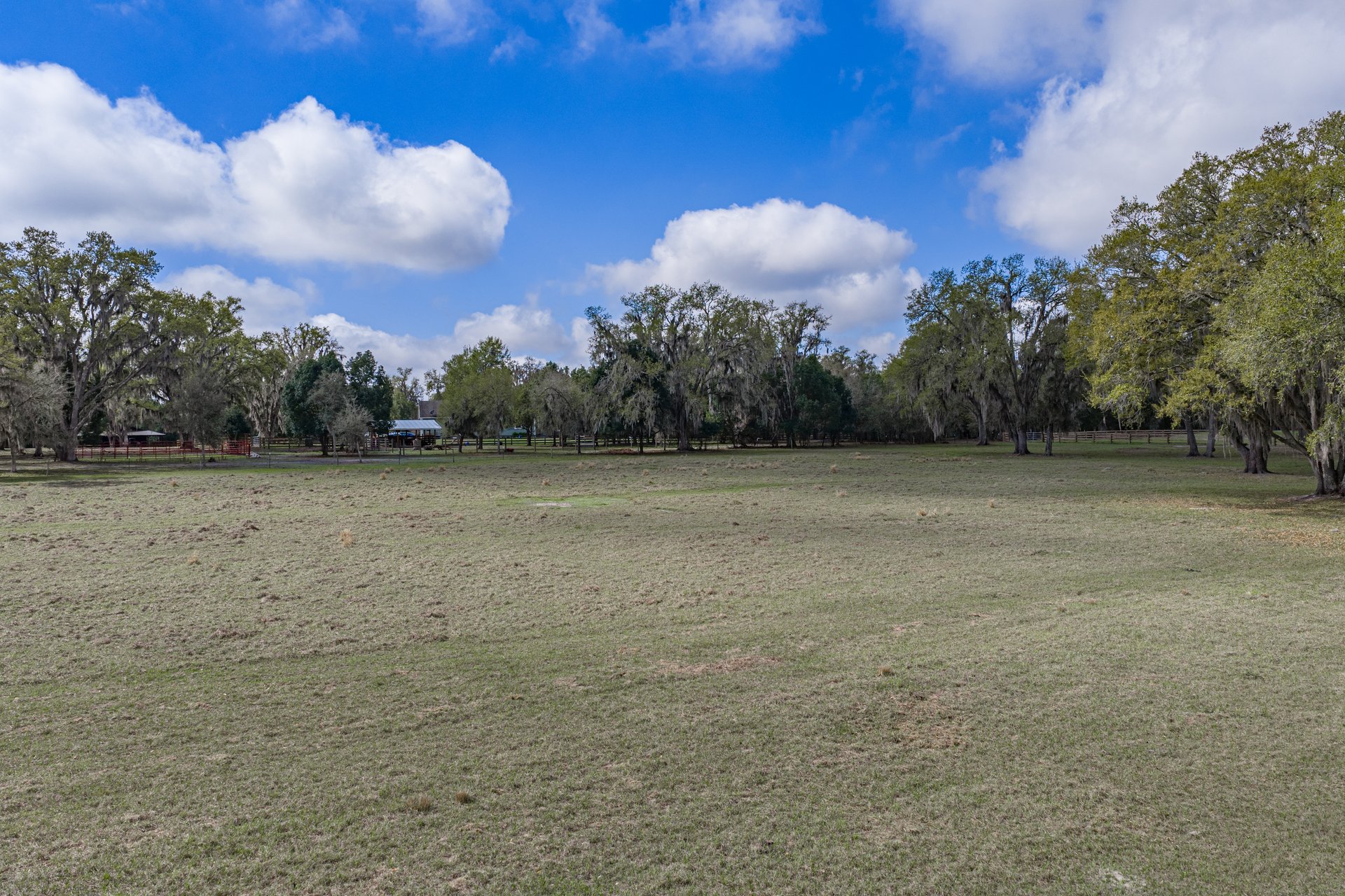 15131 BELLAMY BROTHERS BLVD