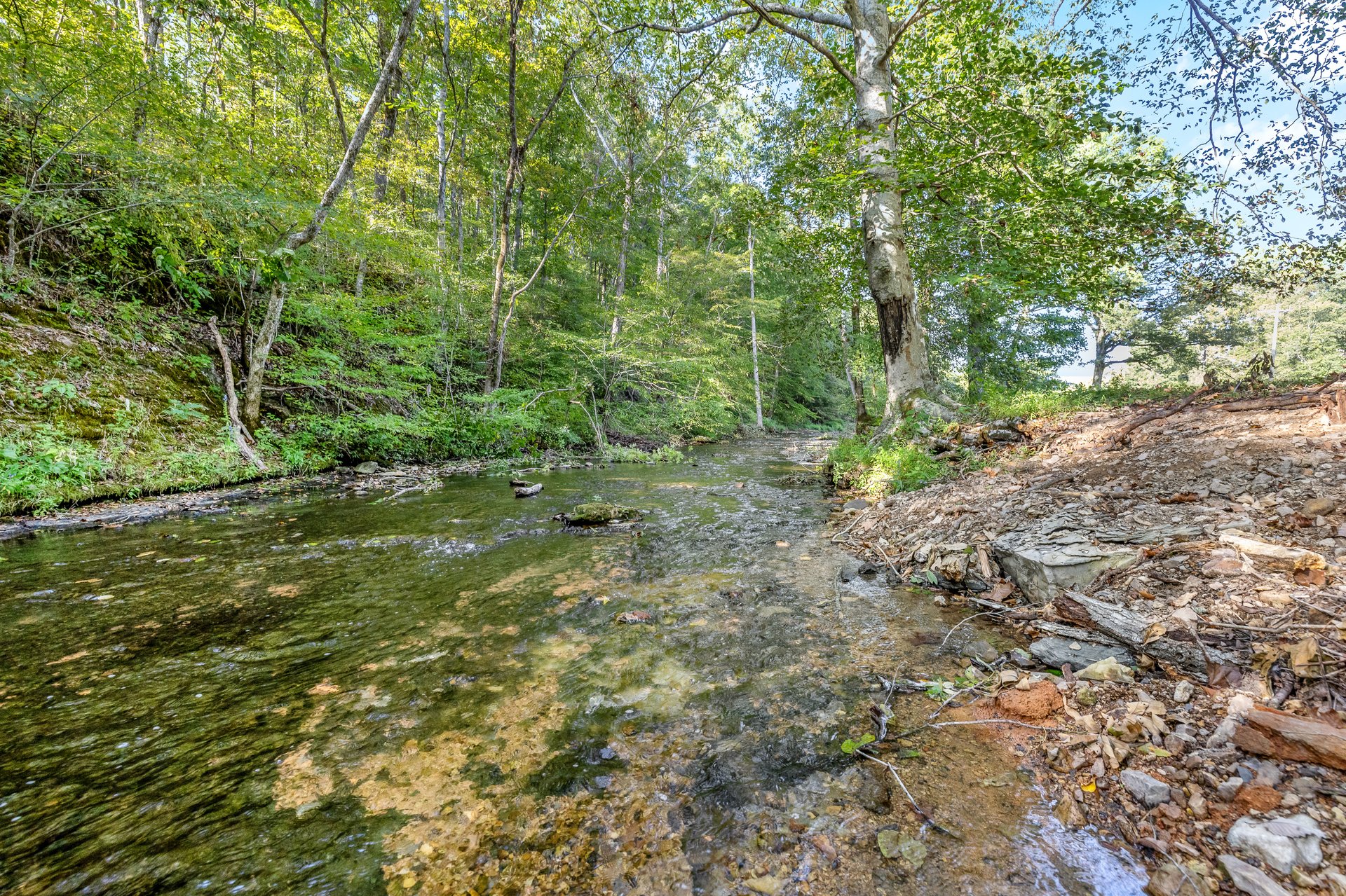 8192 Shoals Branch Road